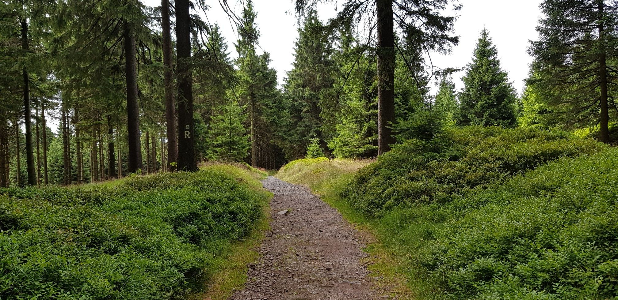 Rennsteig