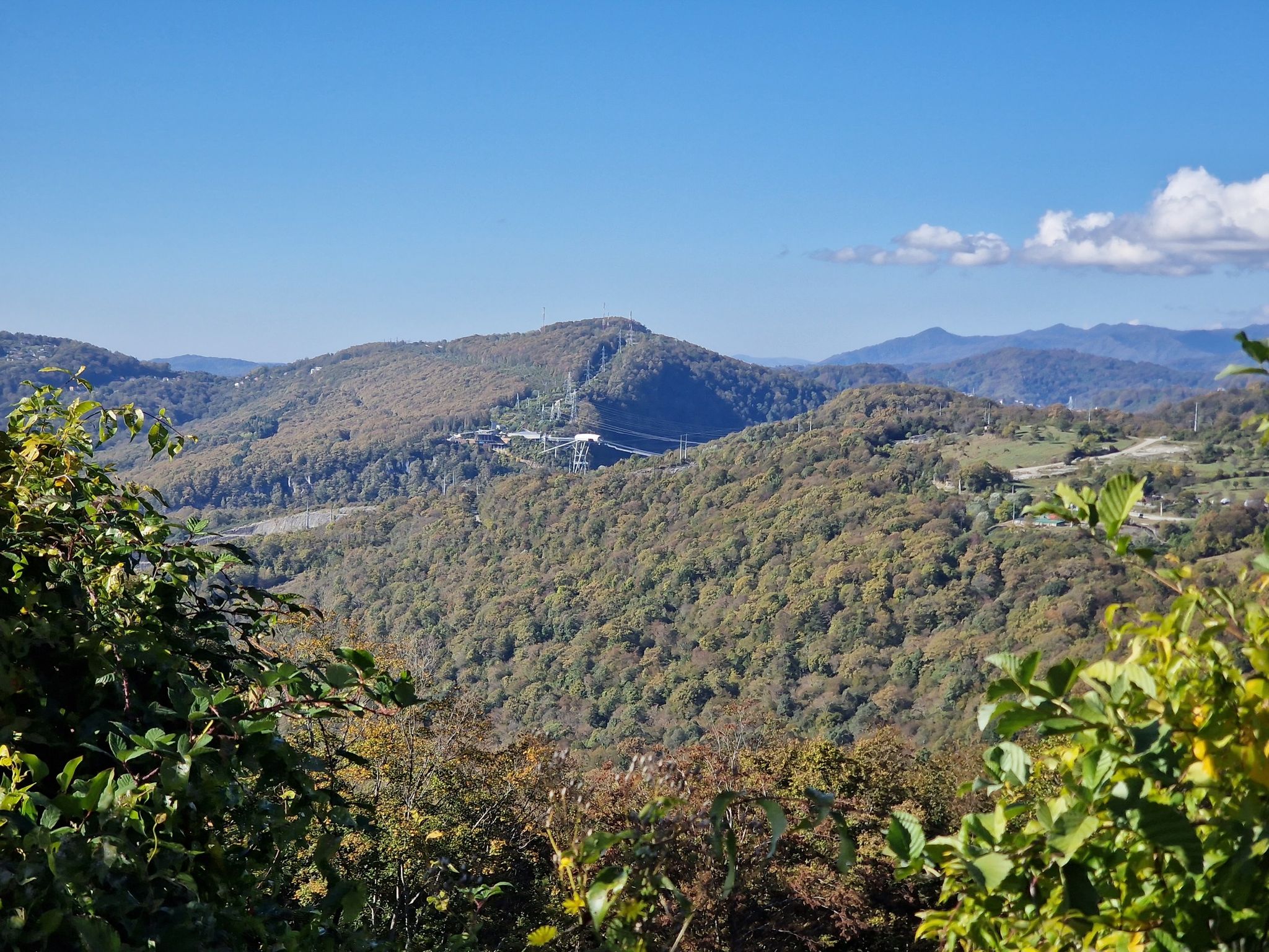 panorama