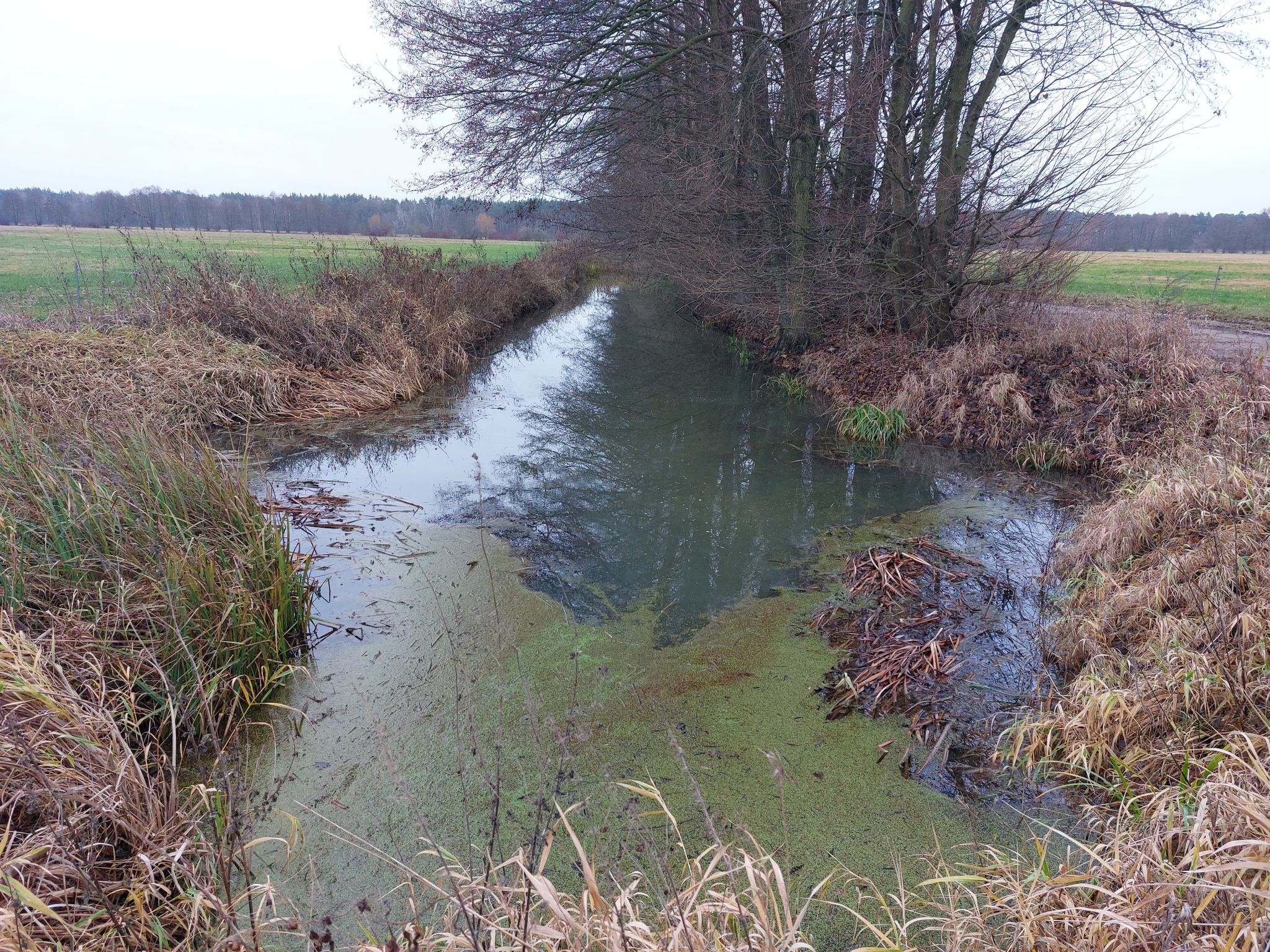 Wassergraben