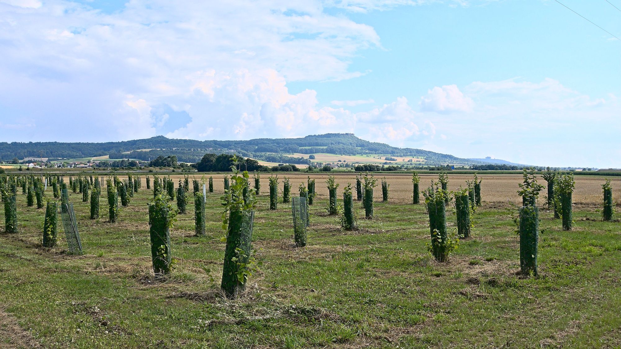 In Reundorf mit Blick zum Staffelberg