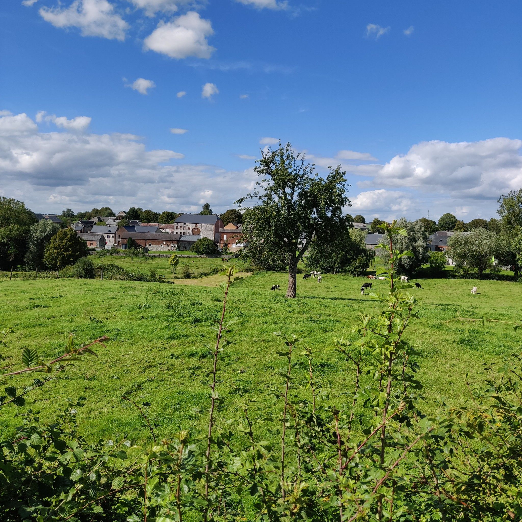 vue sur Dourlers