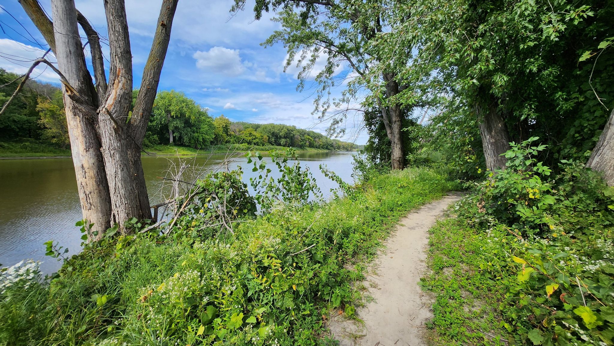 A winding dirt path follows a riverbank, surrounded by trees and greenery. - Minnesota River and Minnesota Zoo from Apple Valley