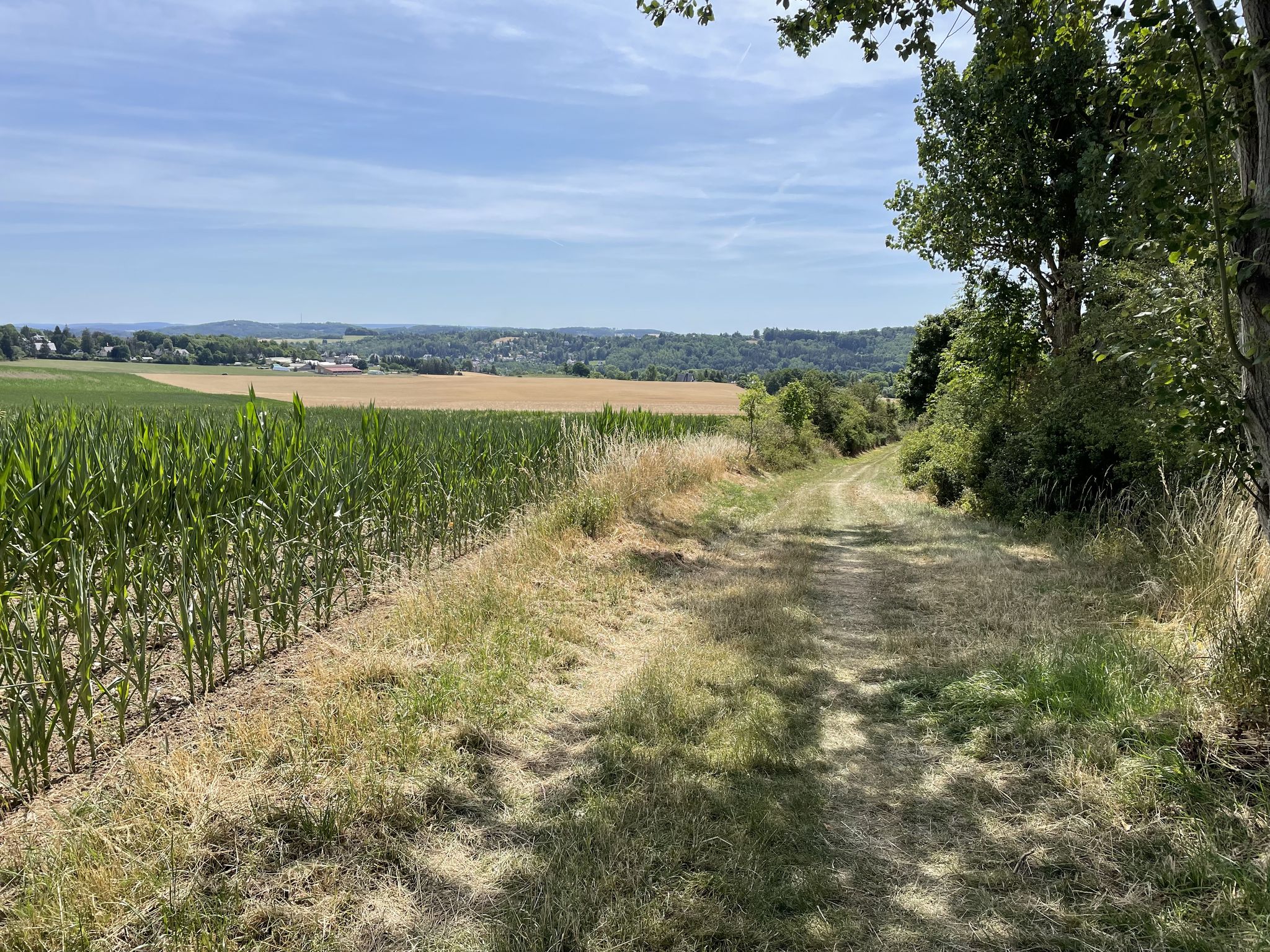 Blick Richtung Plauen