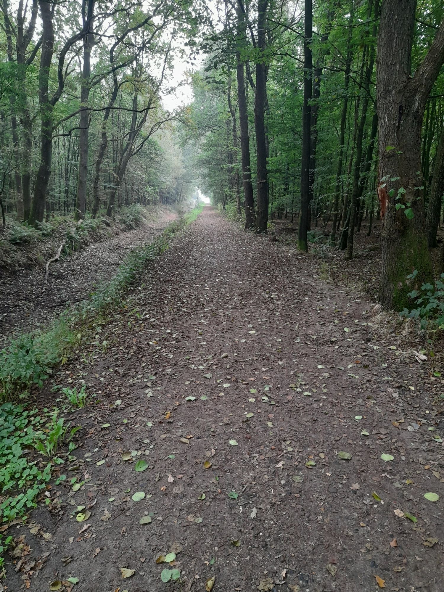 schick mir mal den Regen nach Niebüll...Fluss is trocken😂