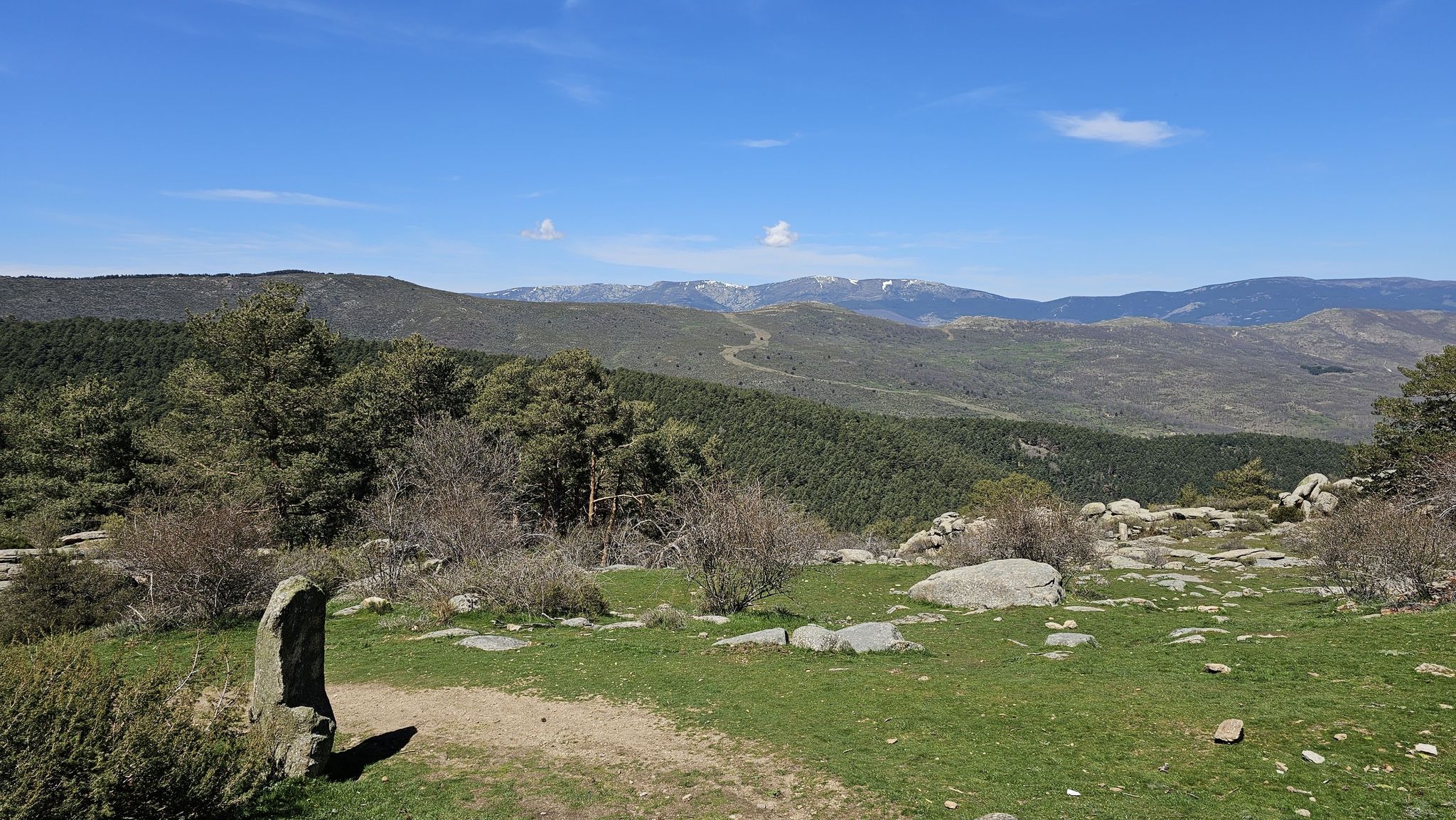 Panorámica