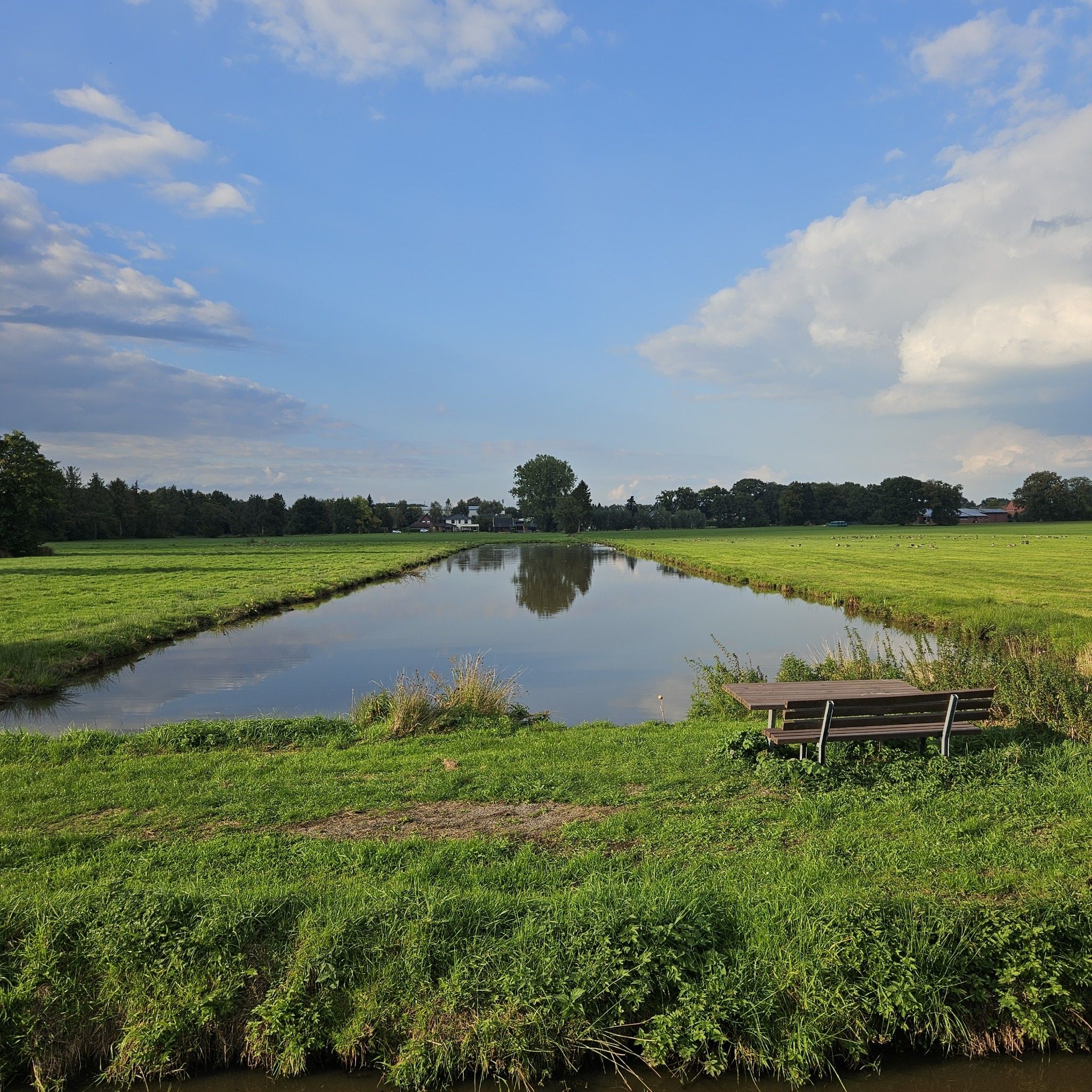 Überlaufpolder Strücklingen Süd