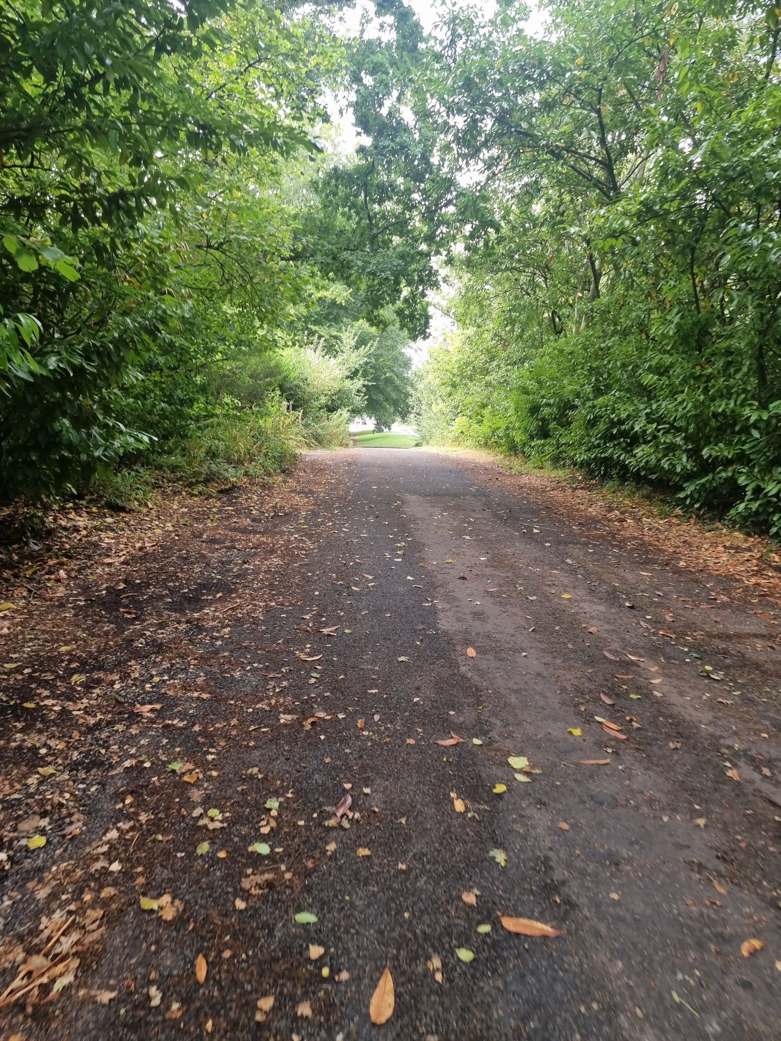 botley road rise