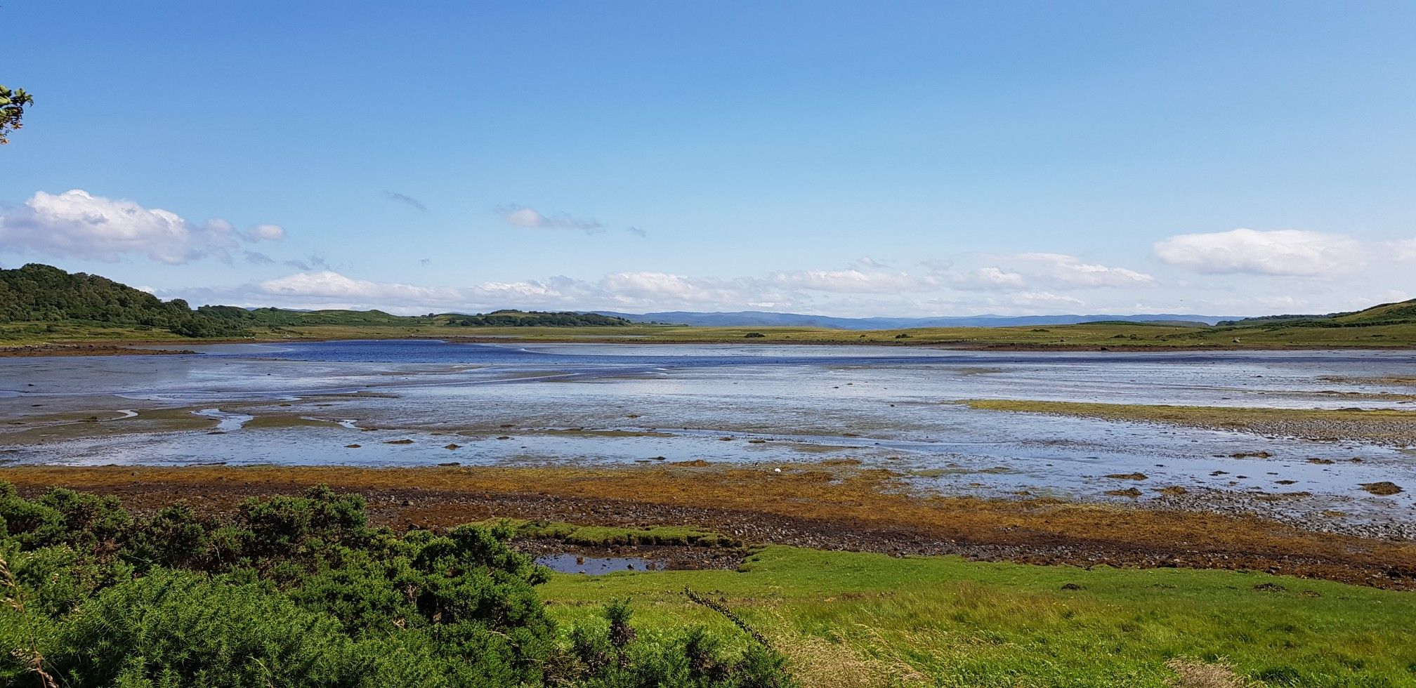 Gorten, mull