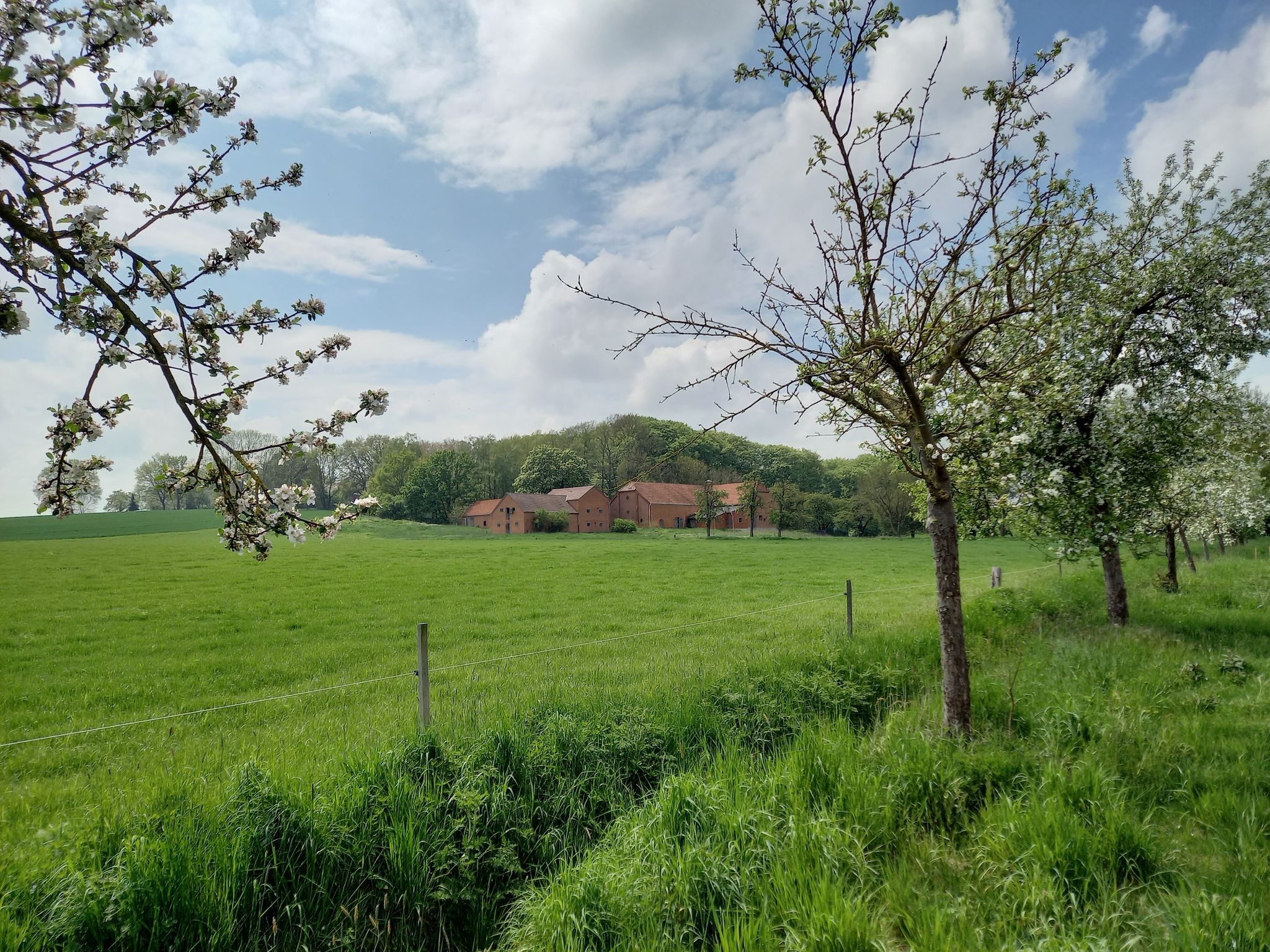 Der Weg führt zwischen den Häusern hindurch