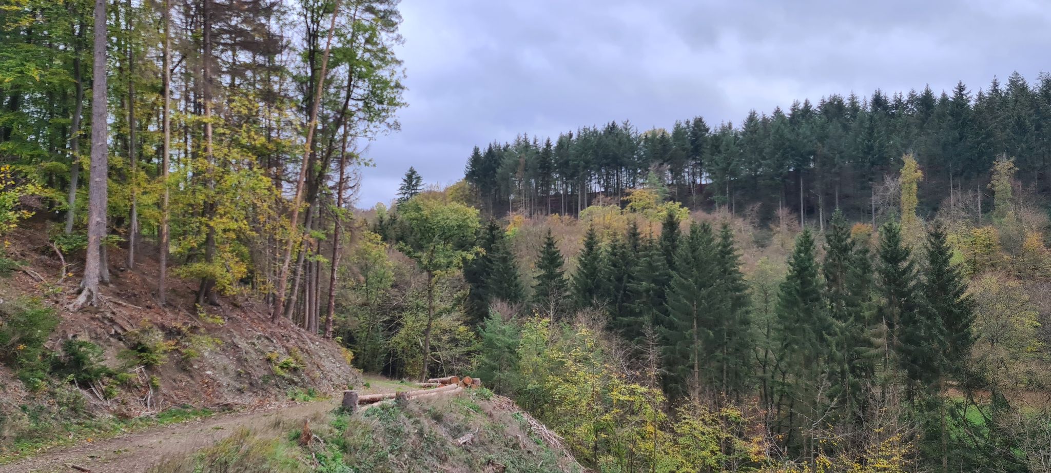 Abstieg ins Preissbachtal