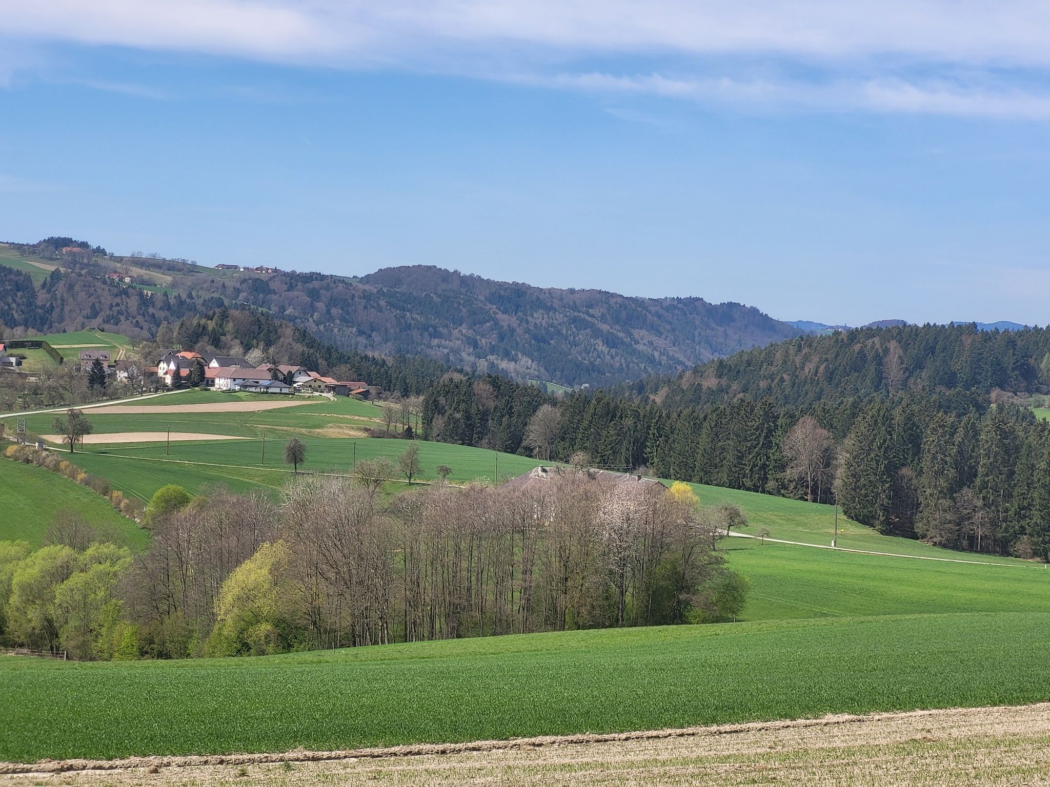 Rundblick in Grub