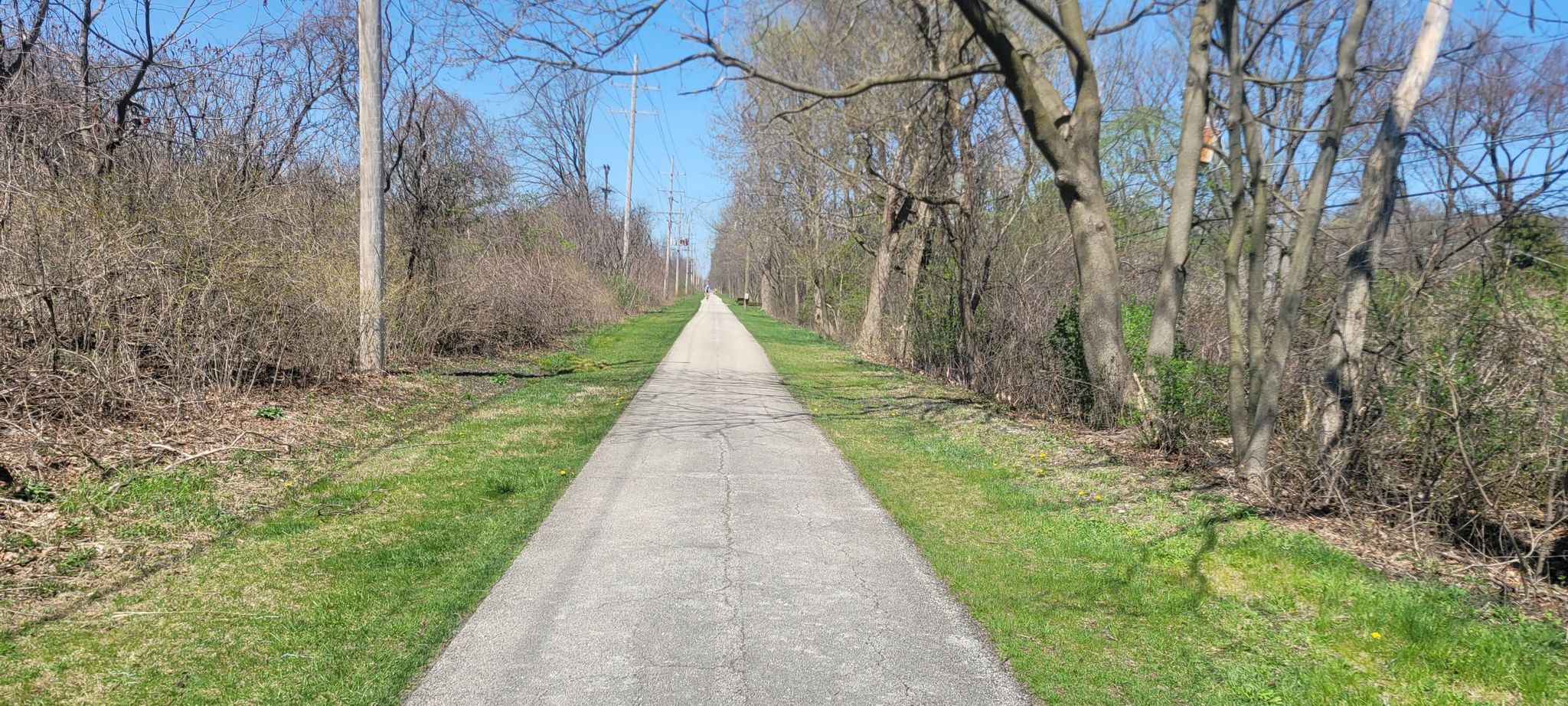 A long, straight paved path stretches through bare trees and green grass. - Des Plaines River Trail – Lake Forest City Hall loop from Libertyville
