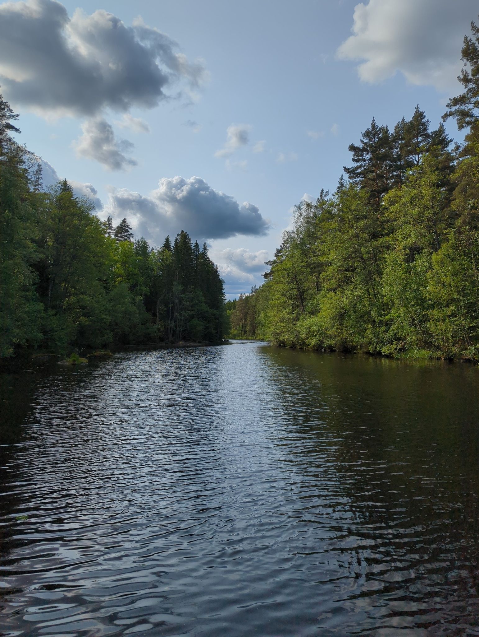 Naturreservat
