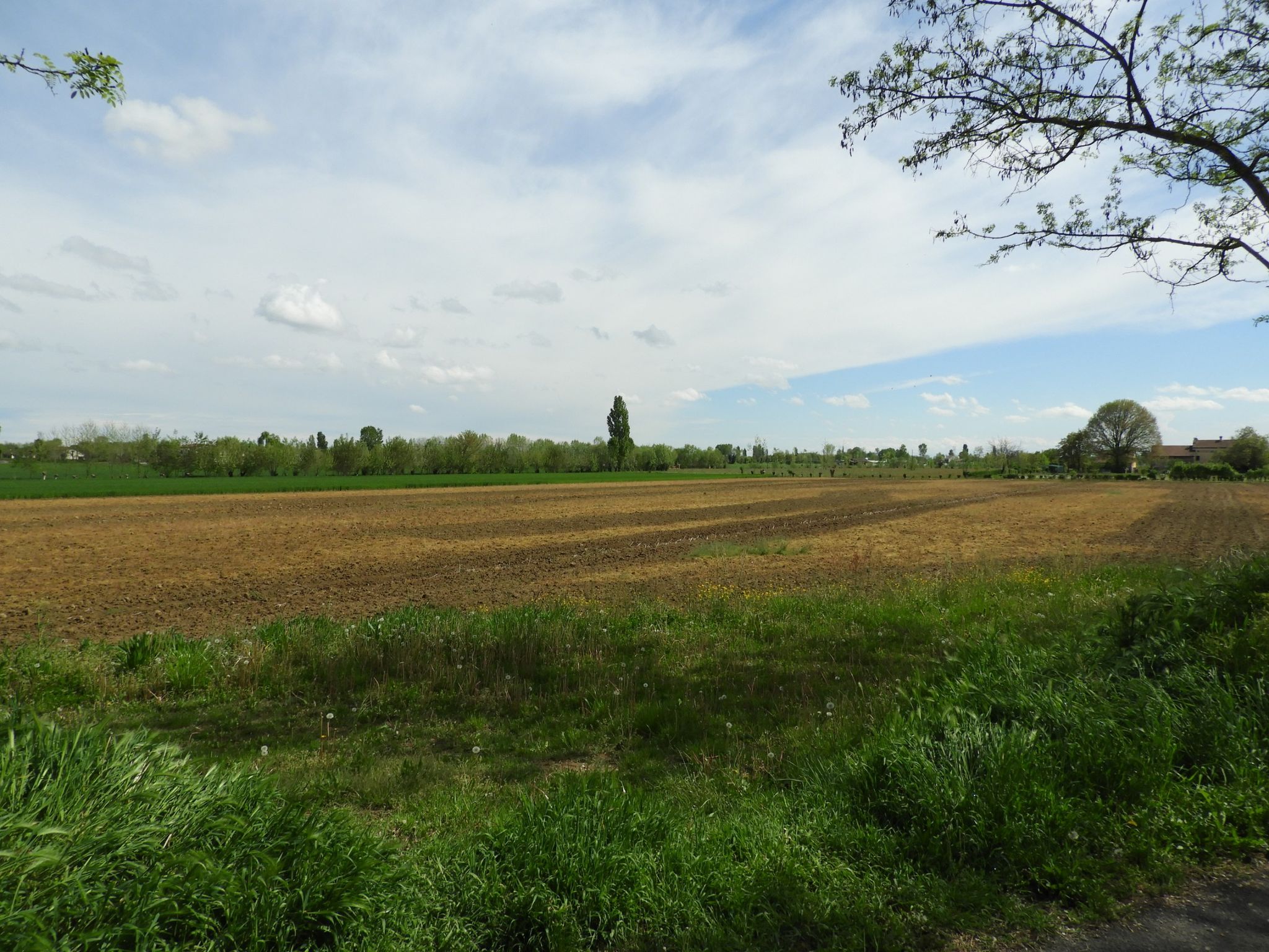 Paesaggi da Piazzola sul Brenta a Camisano Vicentino