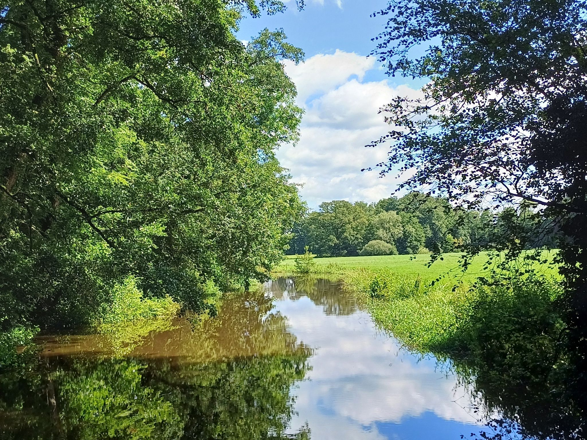 Die "Alte Dinkel"