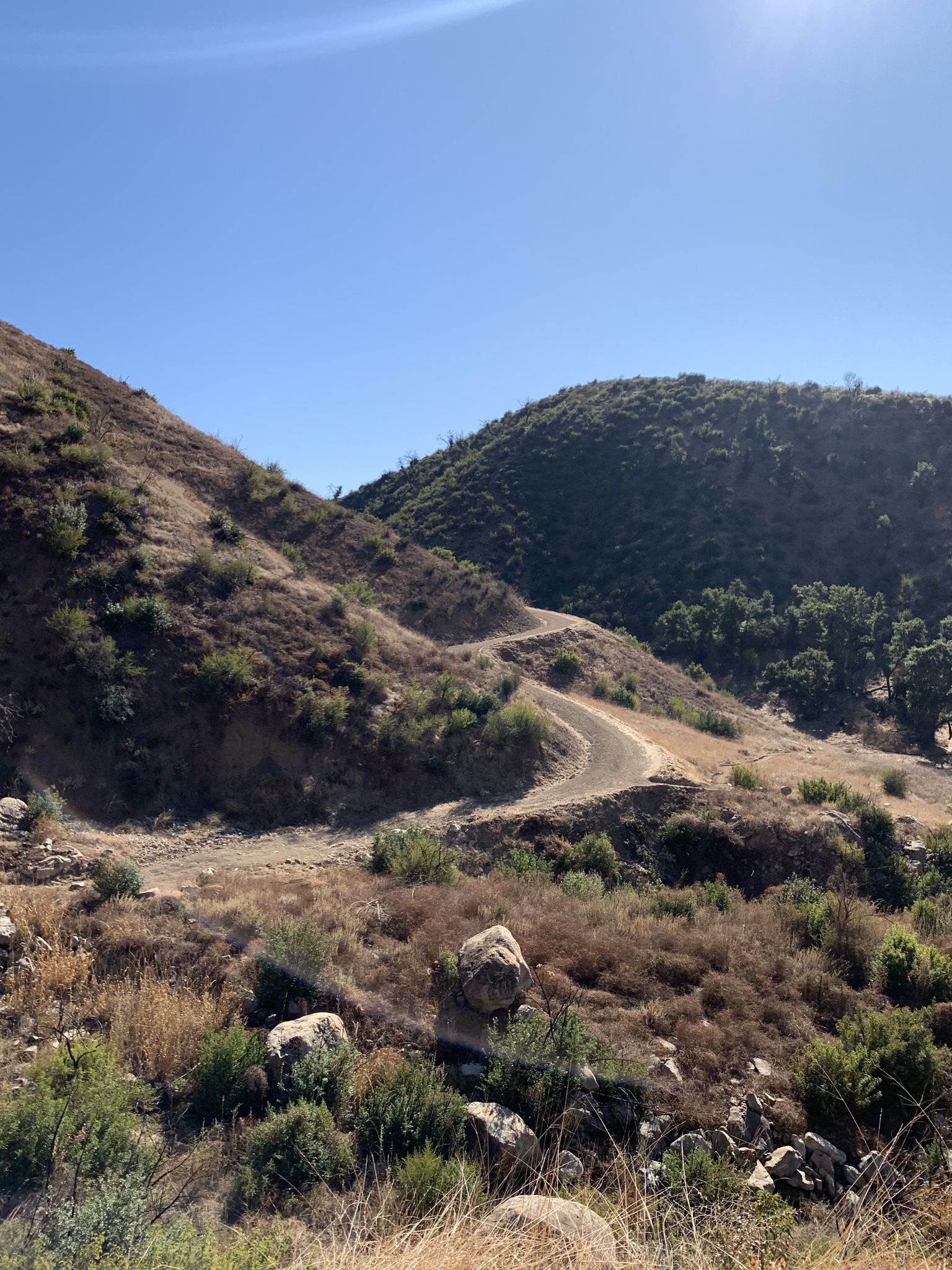 Sunny view of a winding dirt road ascending dry, brush-covered hills. - Fuel Break Road