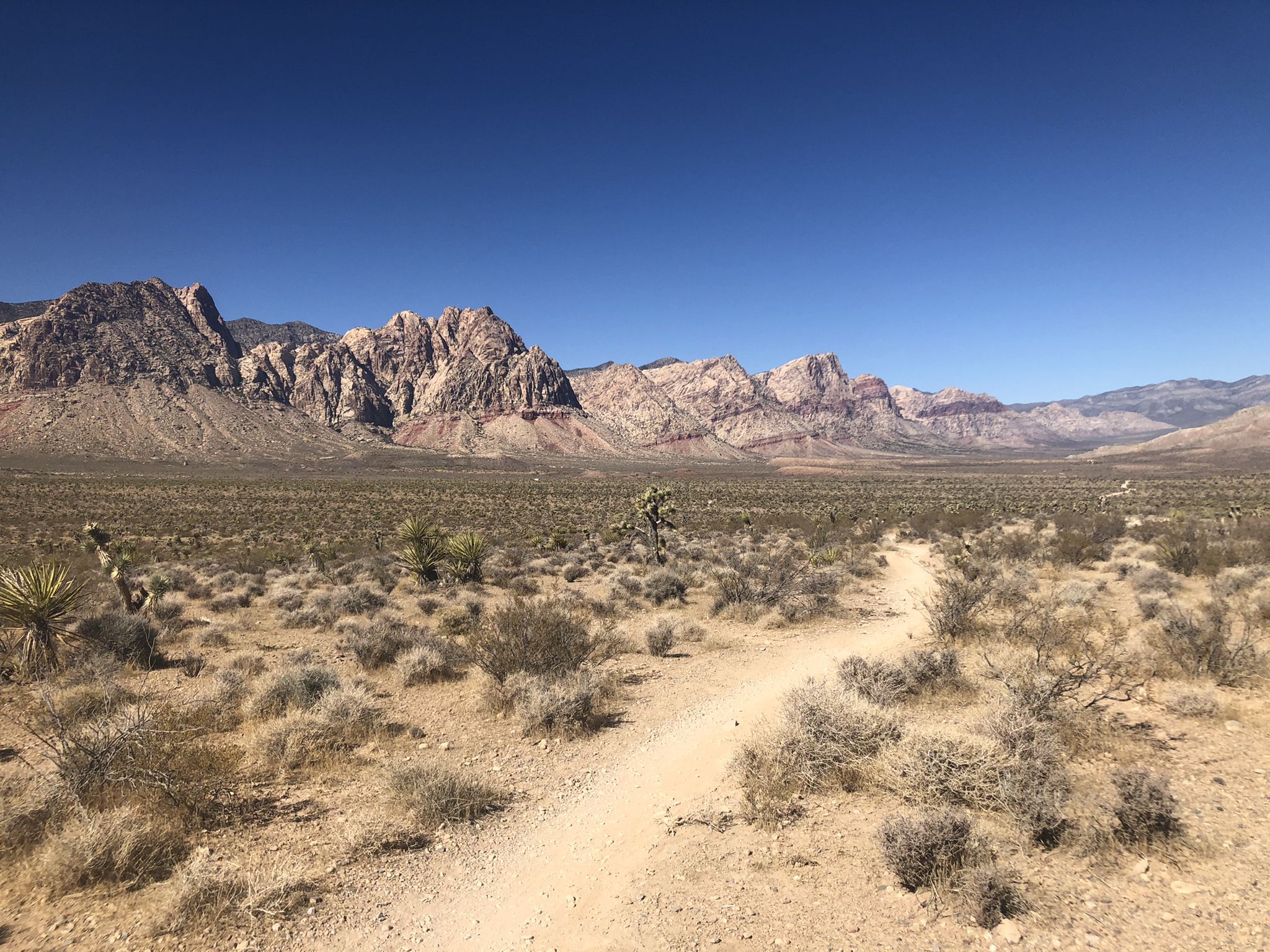 A winding dirt path crosses a wide desert valley towards distant rocky mountains. - Mustang Loop loop from Late Night Trailhead Parking
