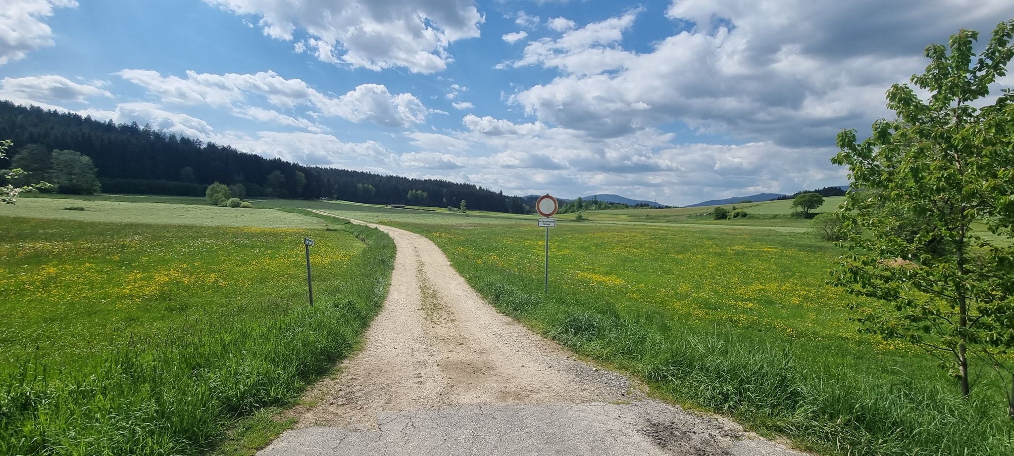bei Bärnzell