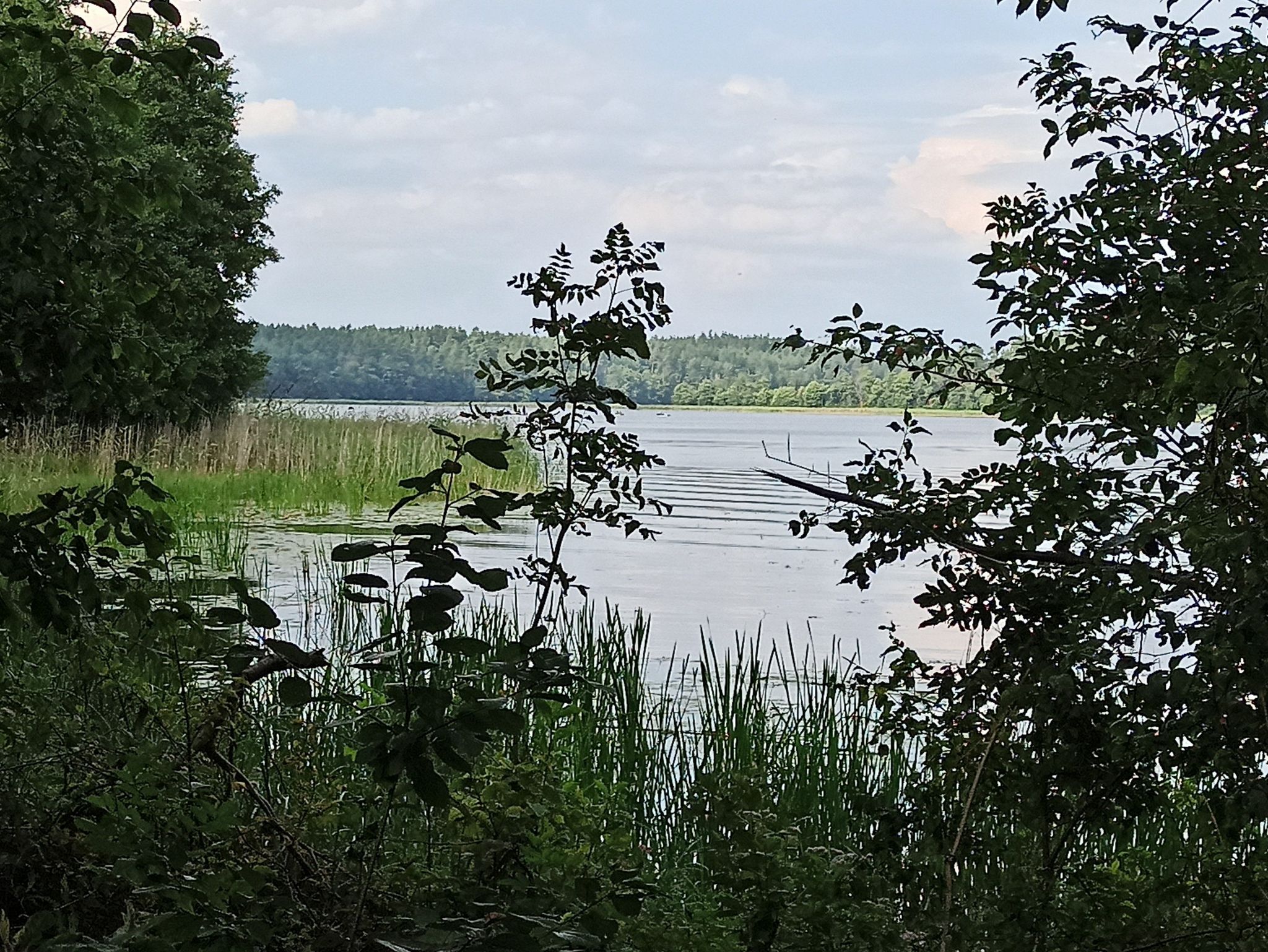 Jezioro Orzysz