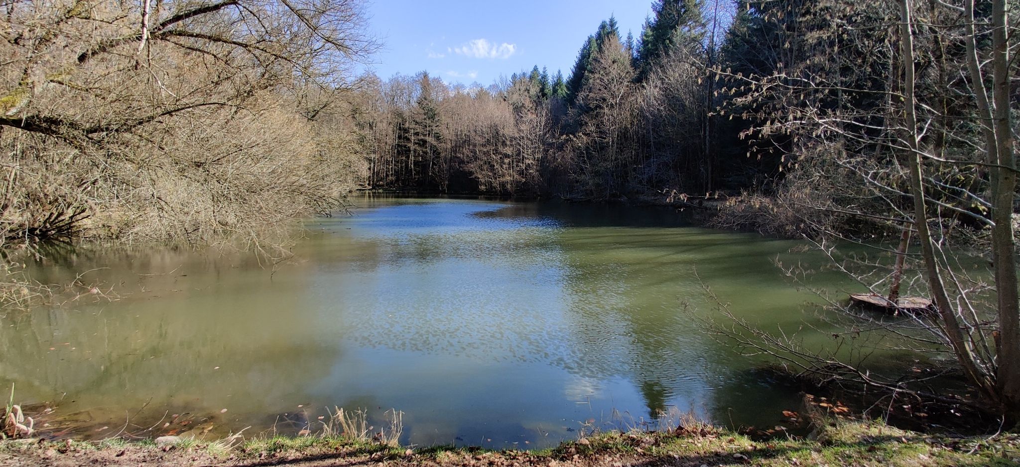 Oberer Rossteich