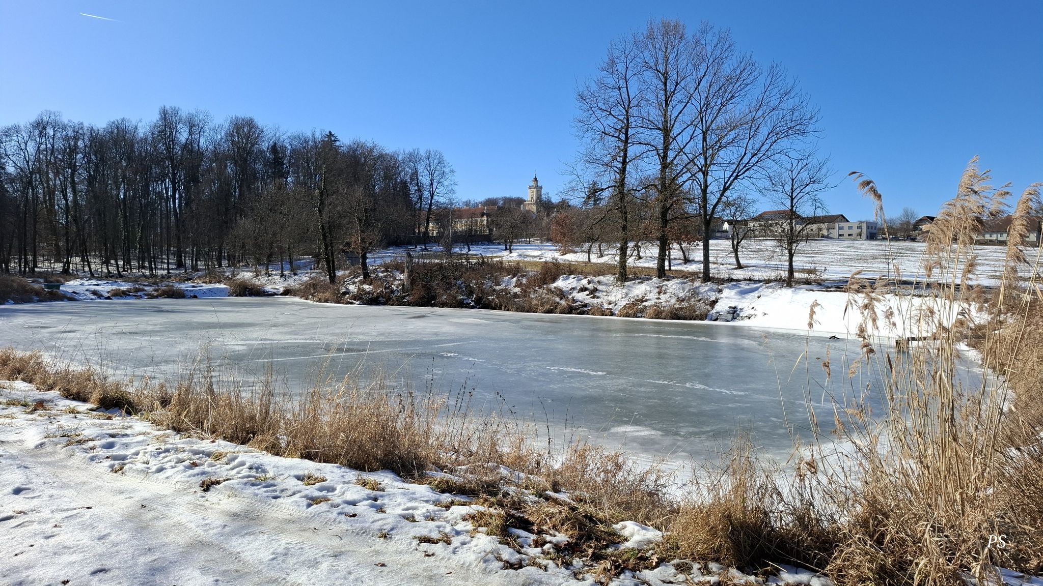 Rotenrohrteich