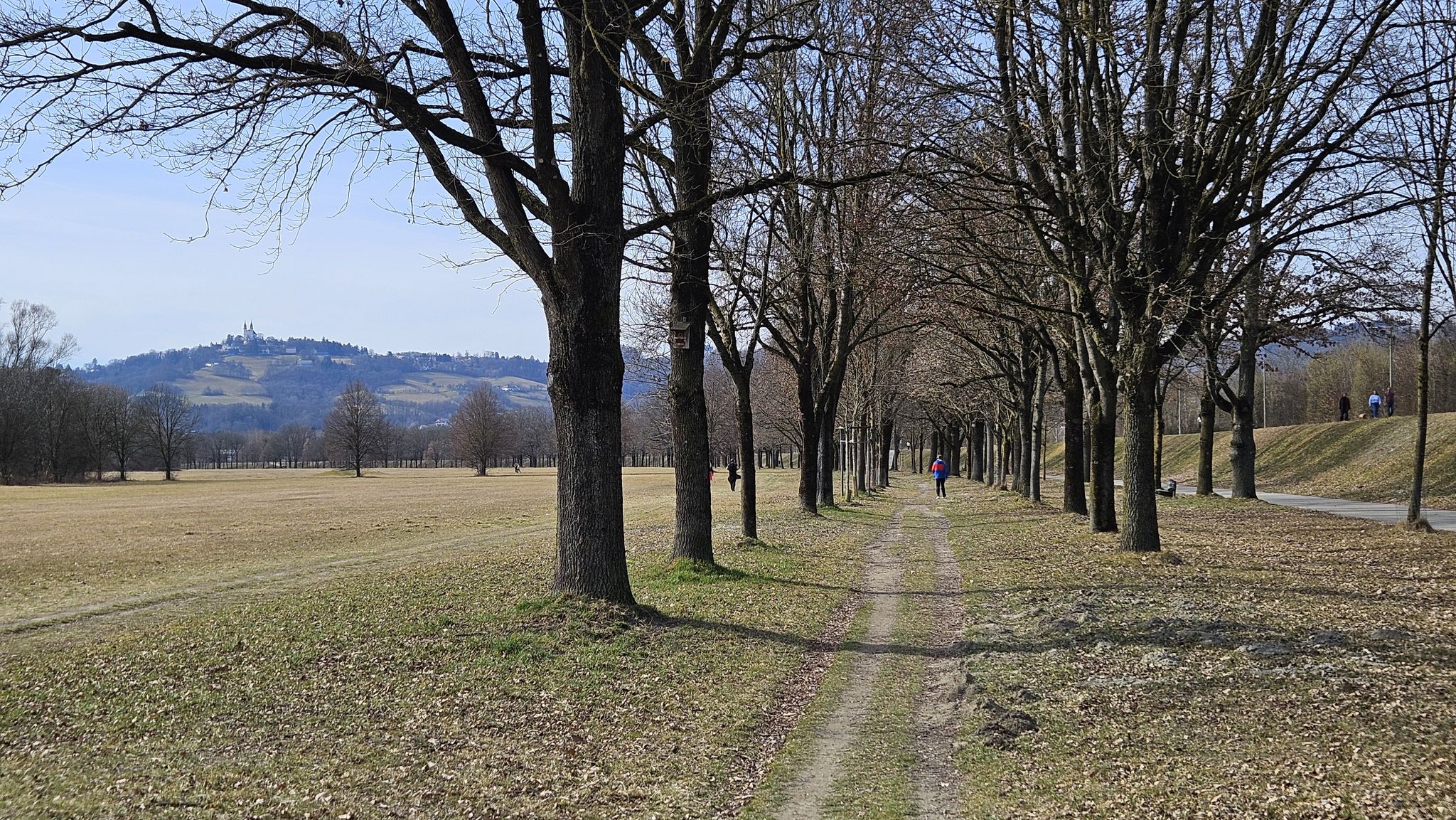 Wege am Donaudamm