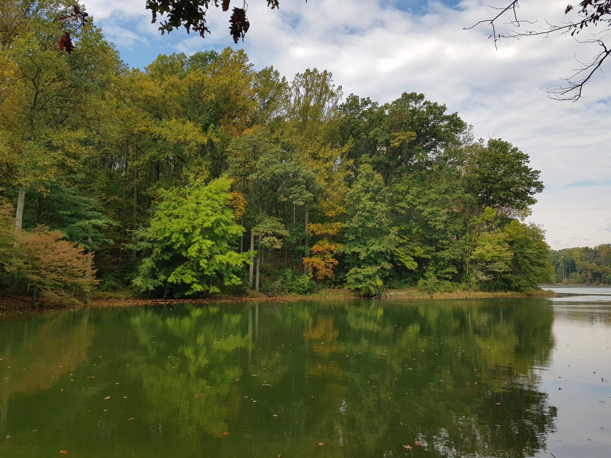 Calm lake reflecting colorful autumn trees under a partly cloudy sky. - Schaeffer Farm Trail System – Black Rock Mill loop from Metropolitan Grove
