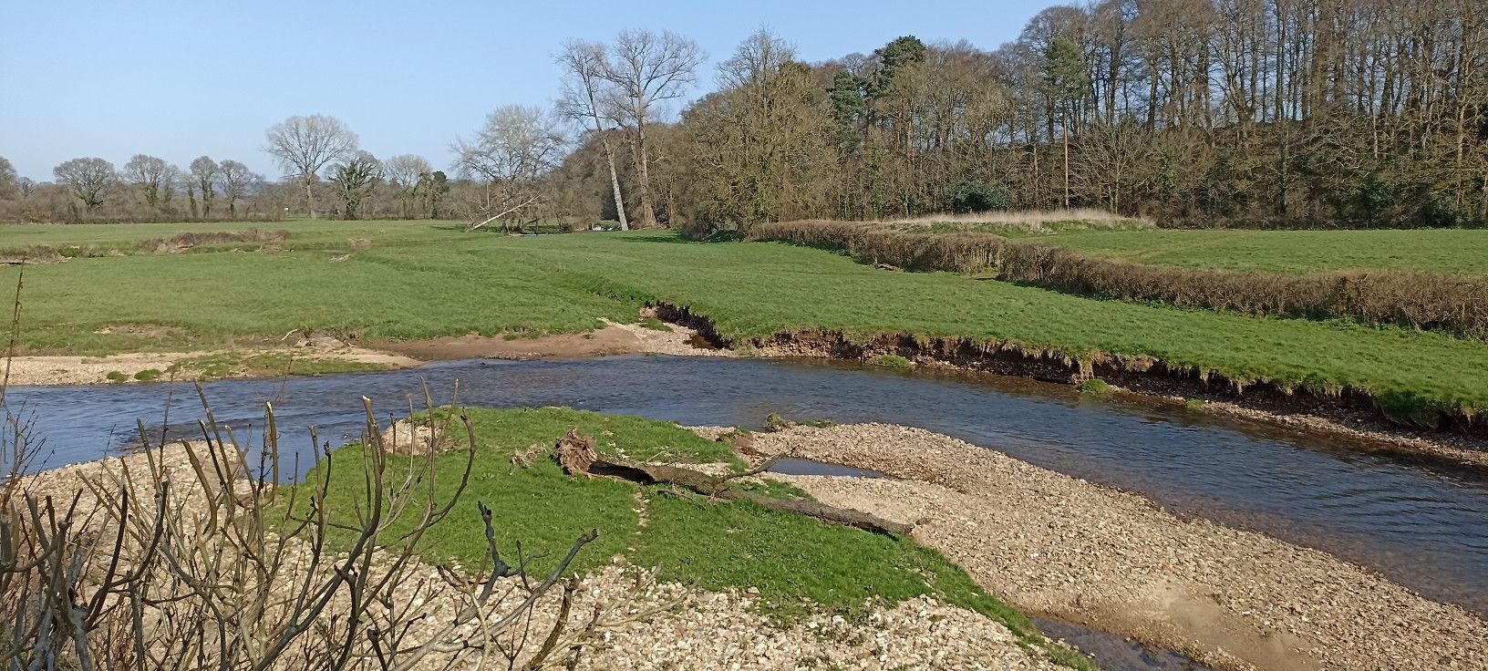 River Otter