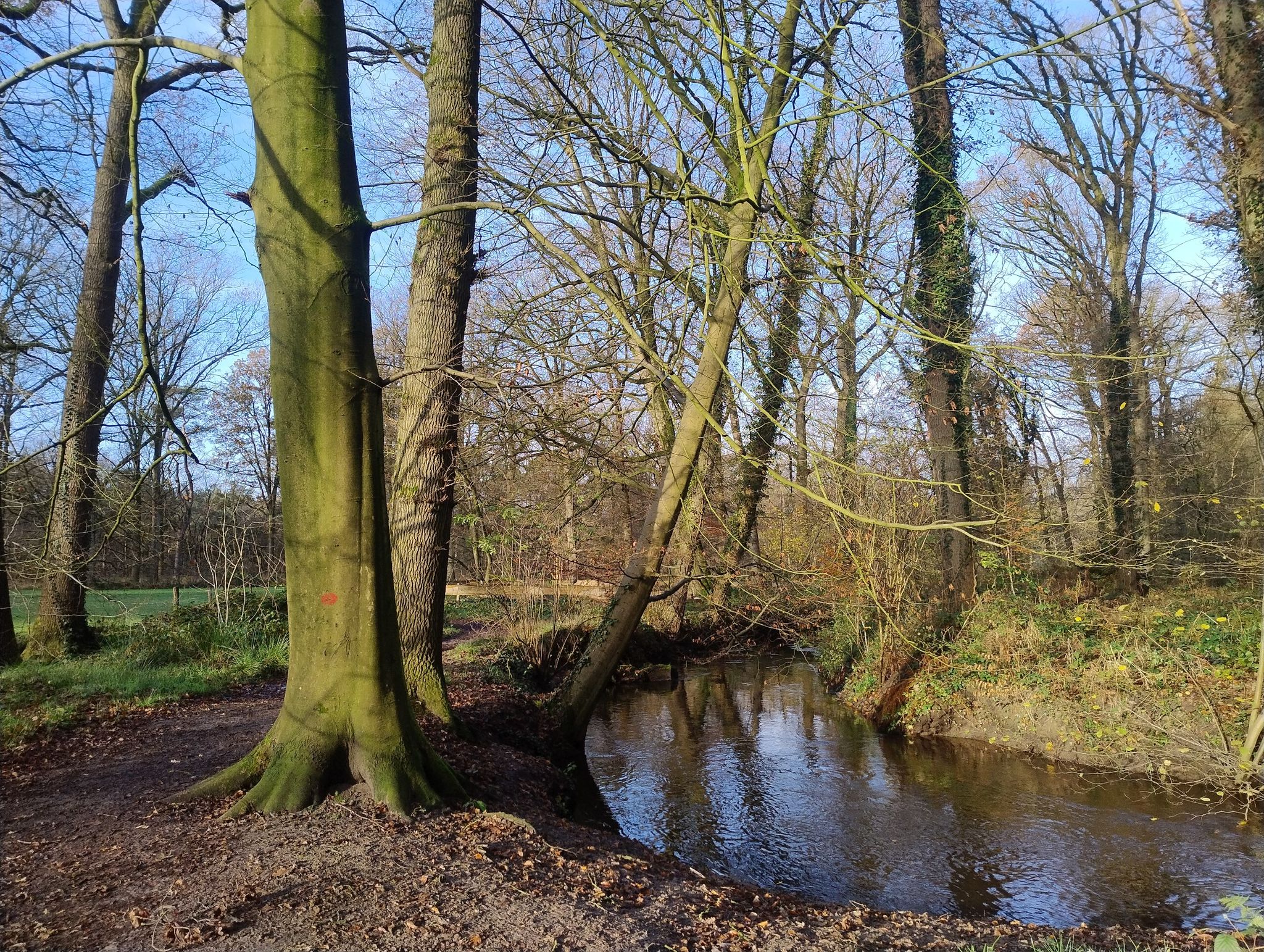 Het riviertje de Leij.