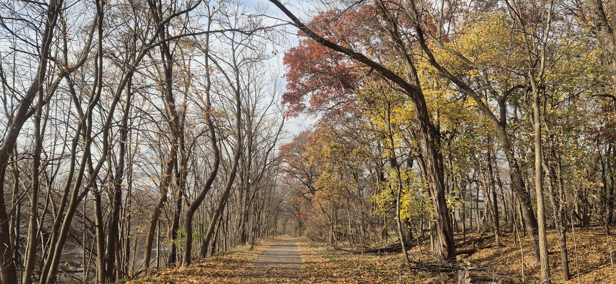 Forest path lined with trees displaying vibrant autumn colors. - Spring Lakes loop from Hamlin Lake