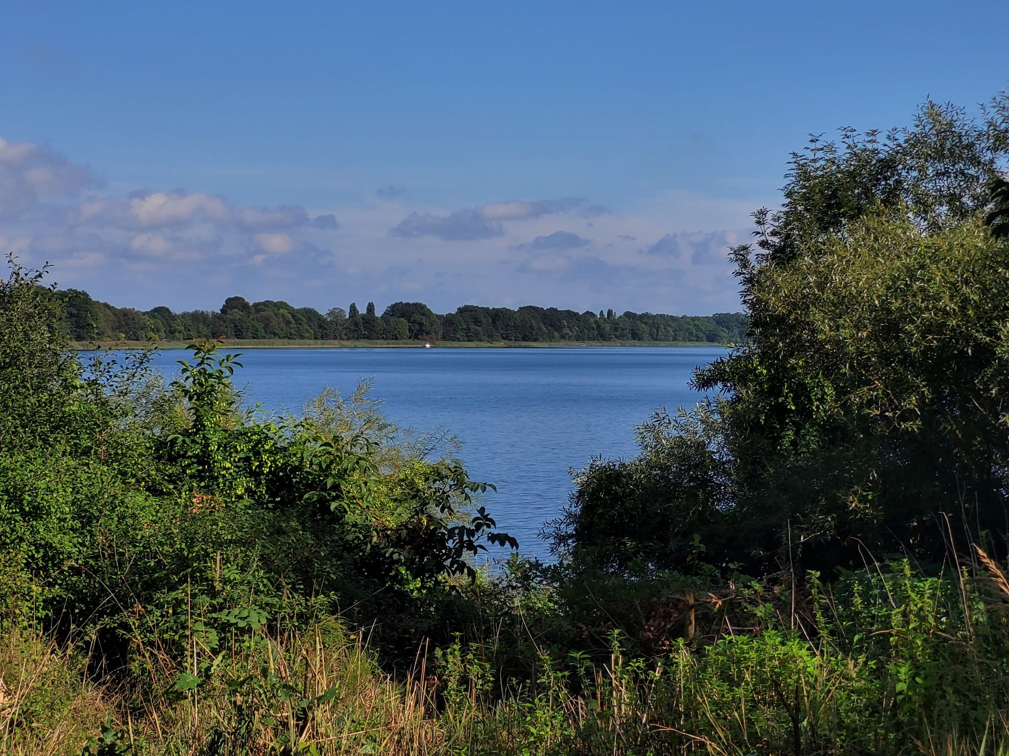Blick auf den Ruppiner See
