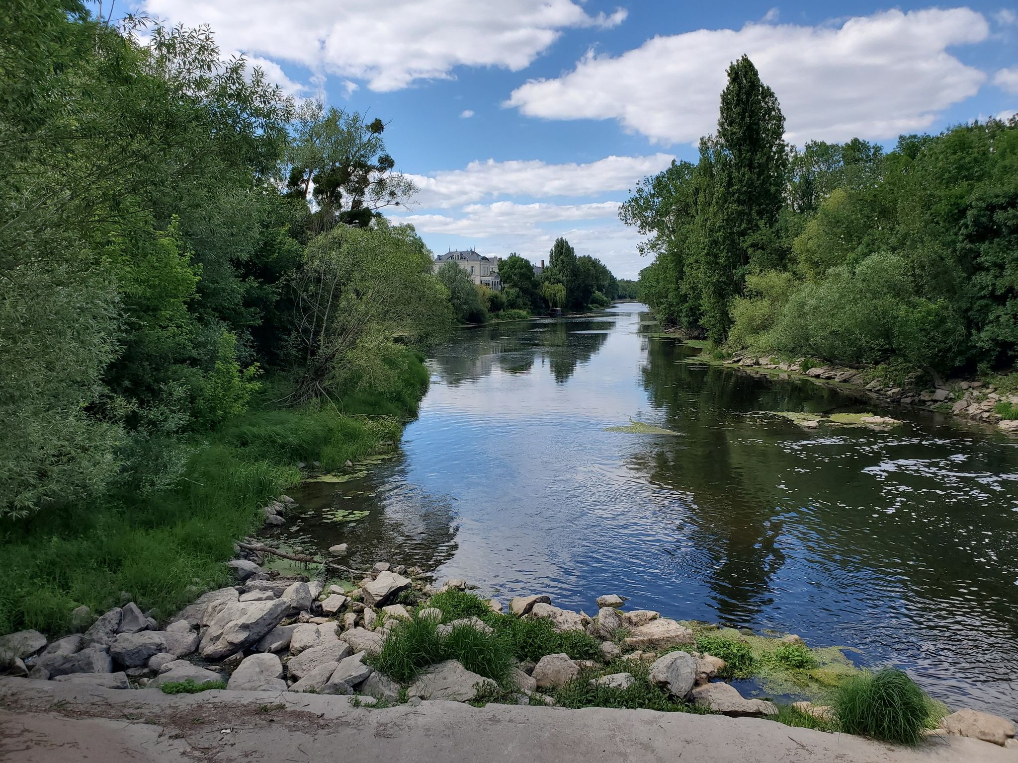 Le thouet