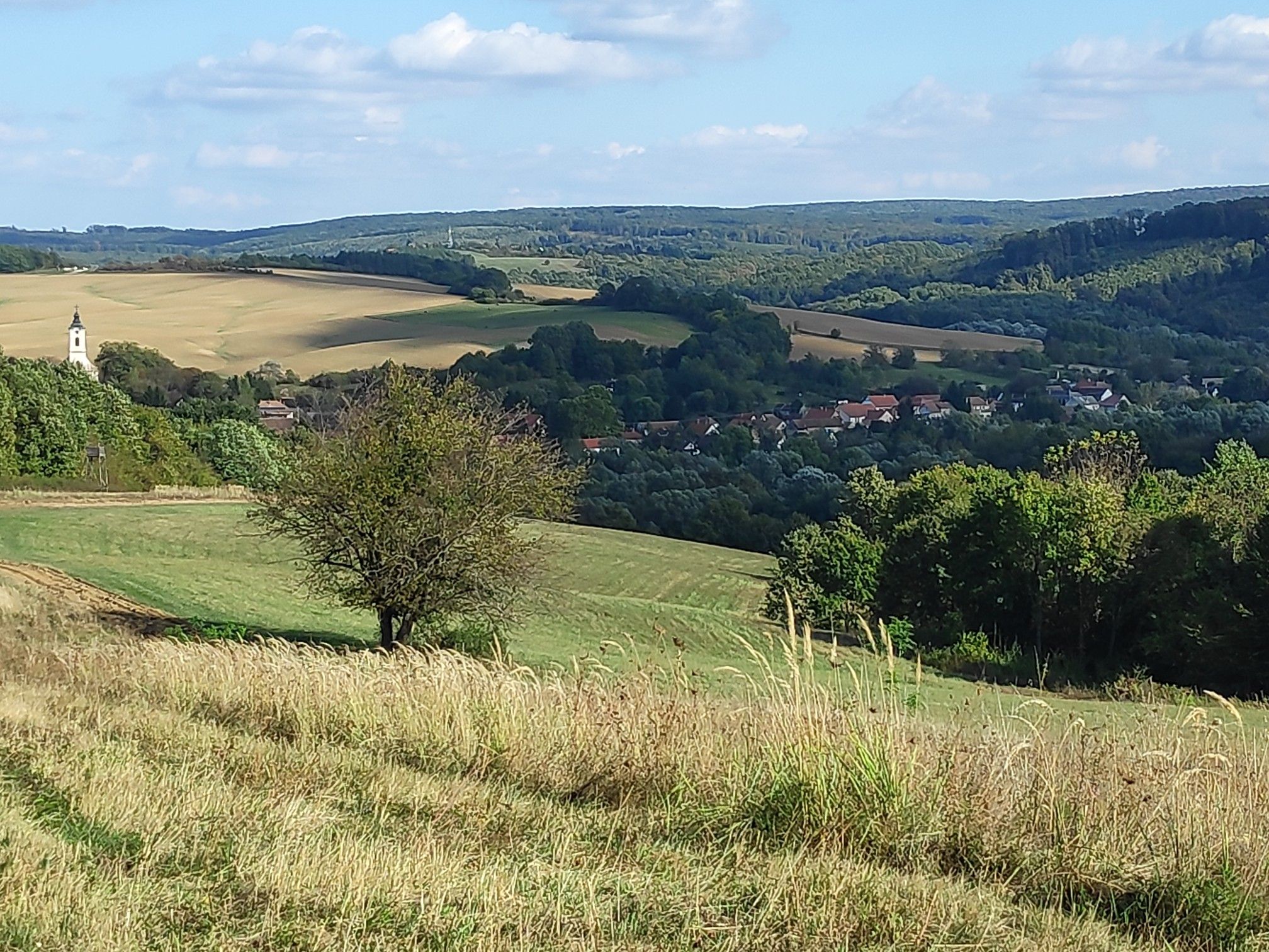 Looking back at Abaliget 