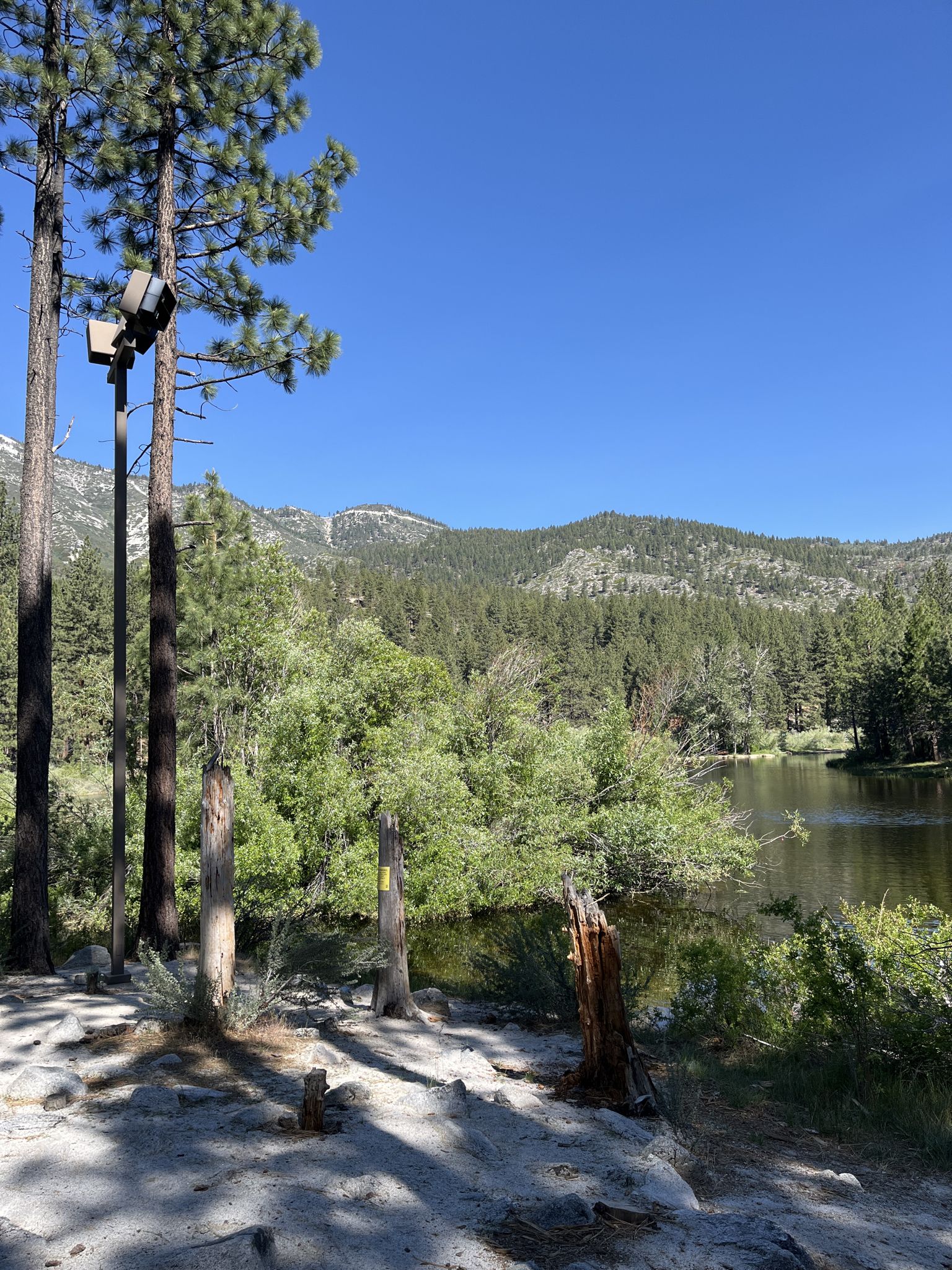 Scenic lake surrounded by green forest and distant mountains on a sunny day. - Ophir Creek and Discovery Trail Loop