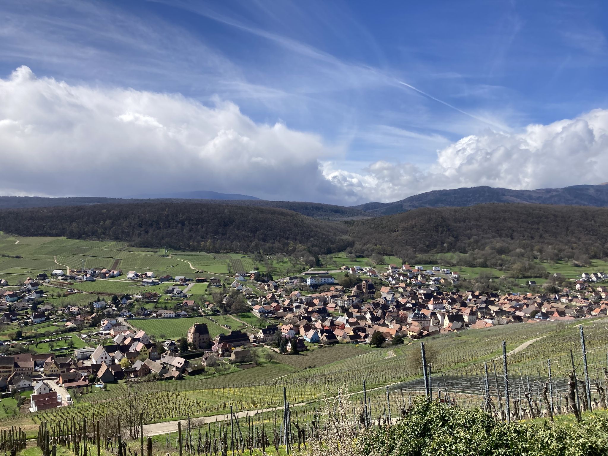 Blick auf Soultzmatt