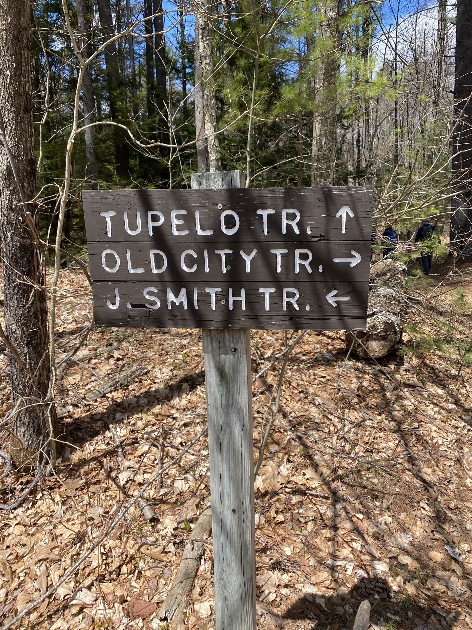 A wooden trail sign with arrows stands in a sunny forest. - Old City Trail – Old City Trail loop from Beaver Brook Association