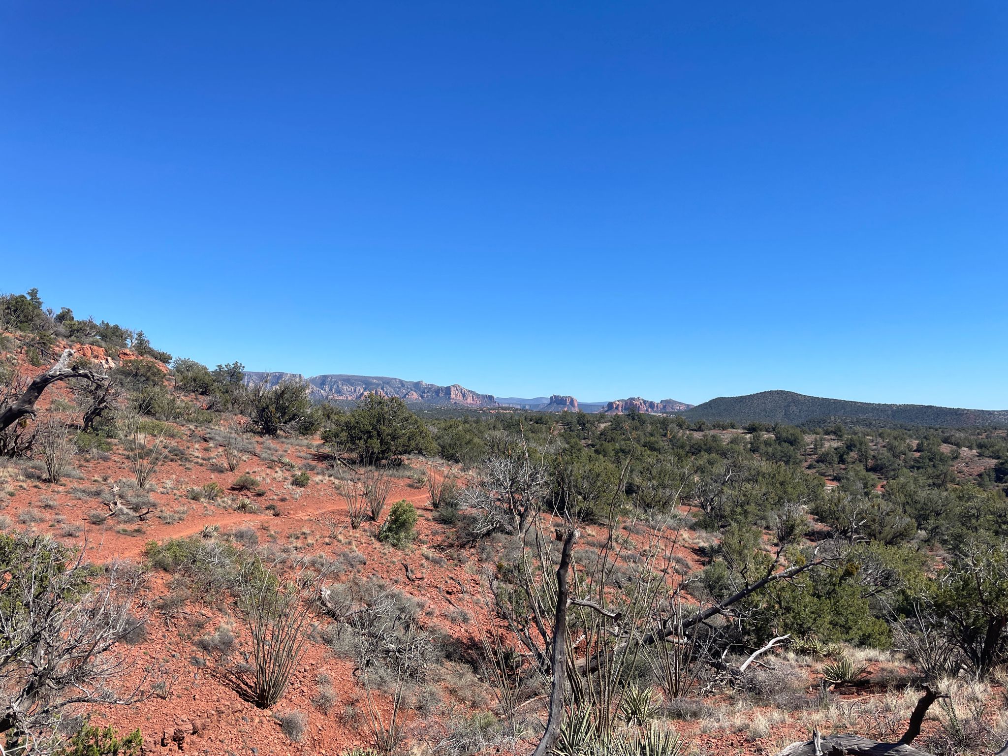 Expansive desert terrain with red dirt, green brush, and distant red rock mountains. - Cultural Park Trailhead – Crusty Trail loop from Sedona