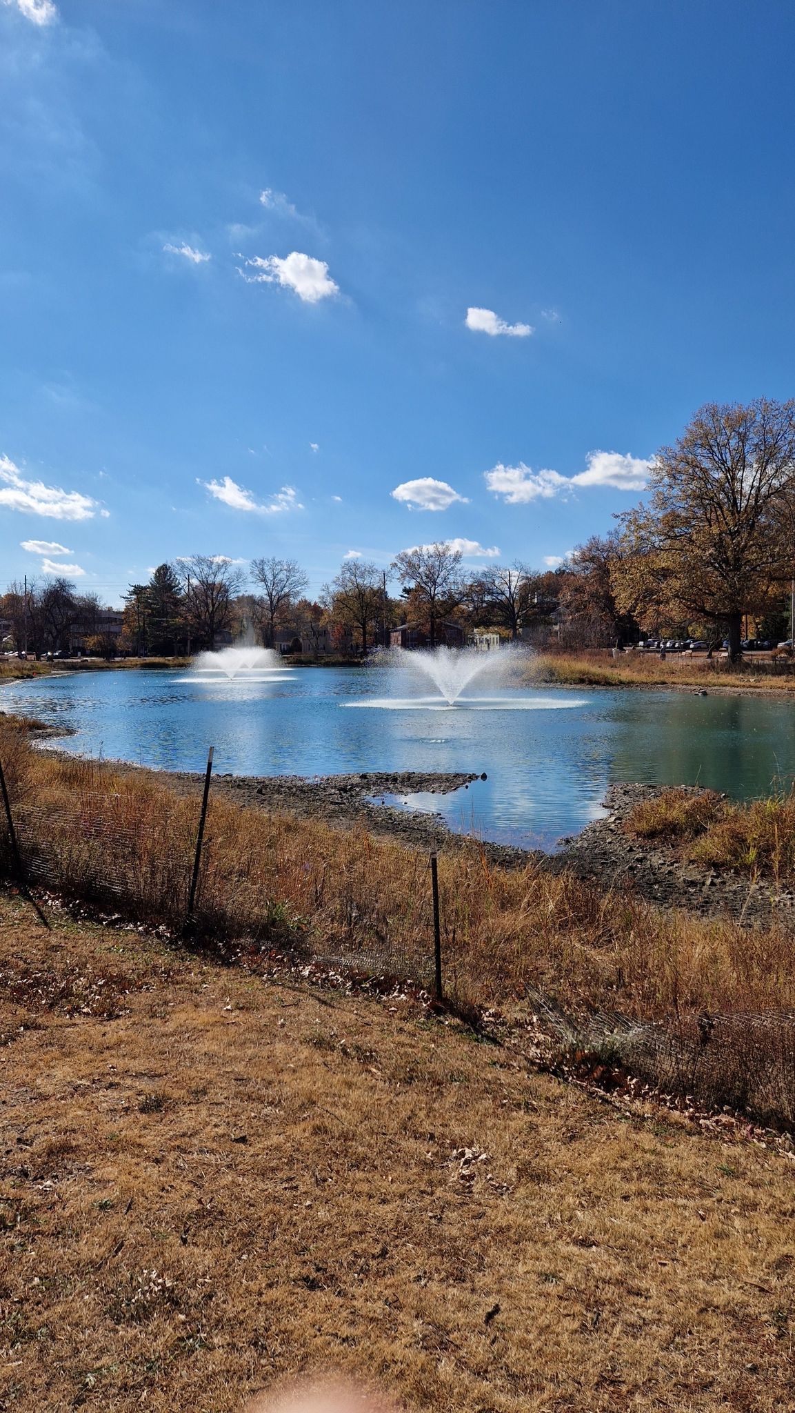 A lake with two fountains, surrounded by dry grass and trees under a bright blue sky. - Oradell Reservoir Loop