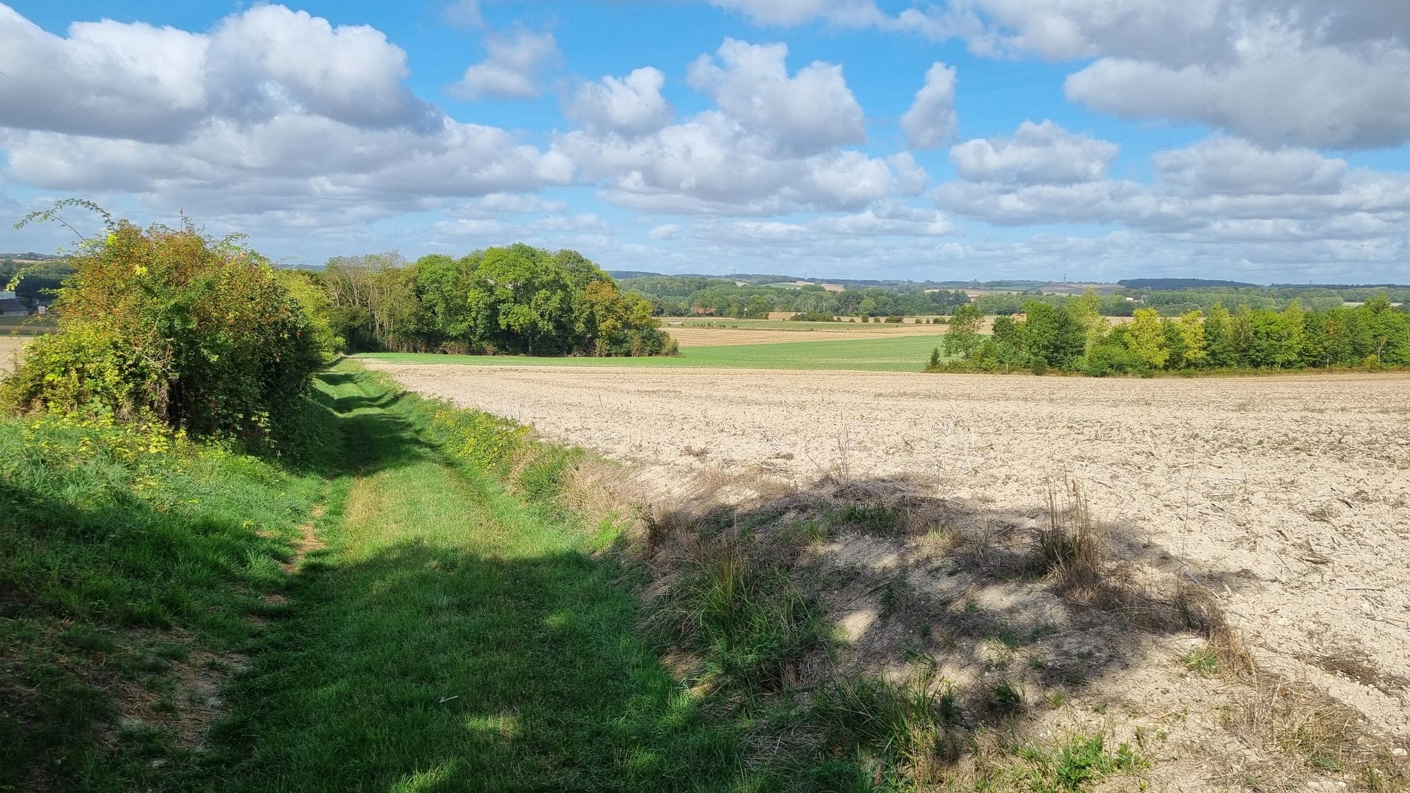 Agréable chemin pour les vélos / Pleasant path for bicycles