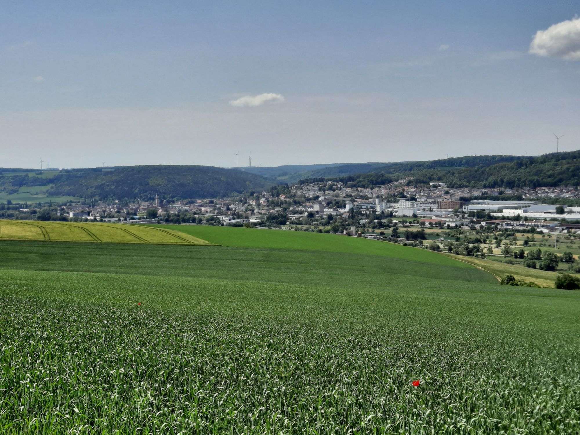 Blick über Tauberbischofsheim