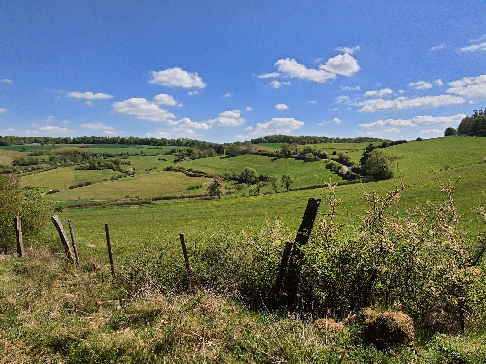 Wiesenausblick
