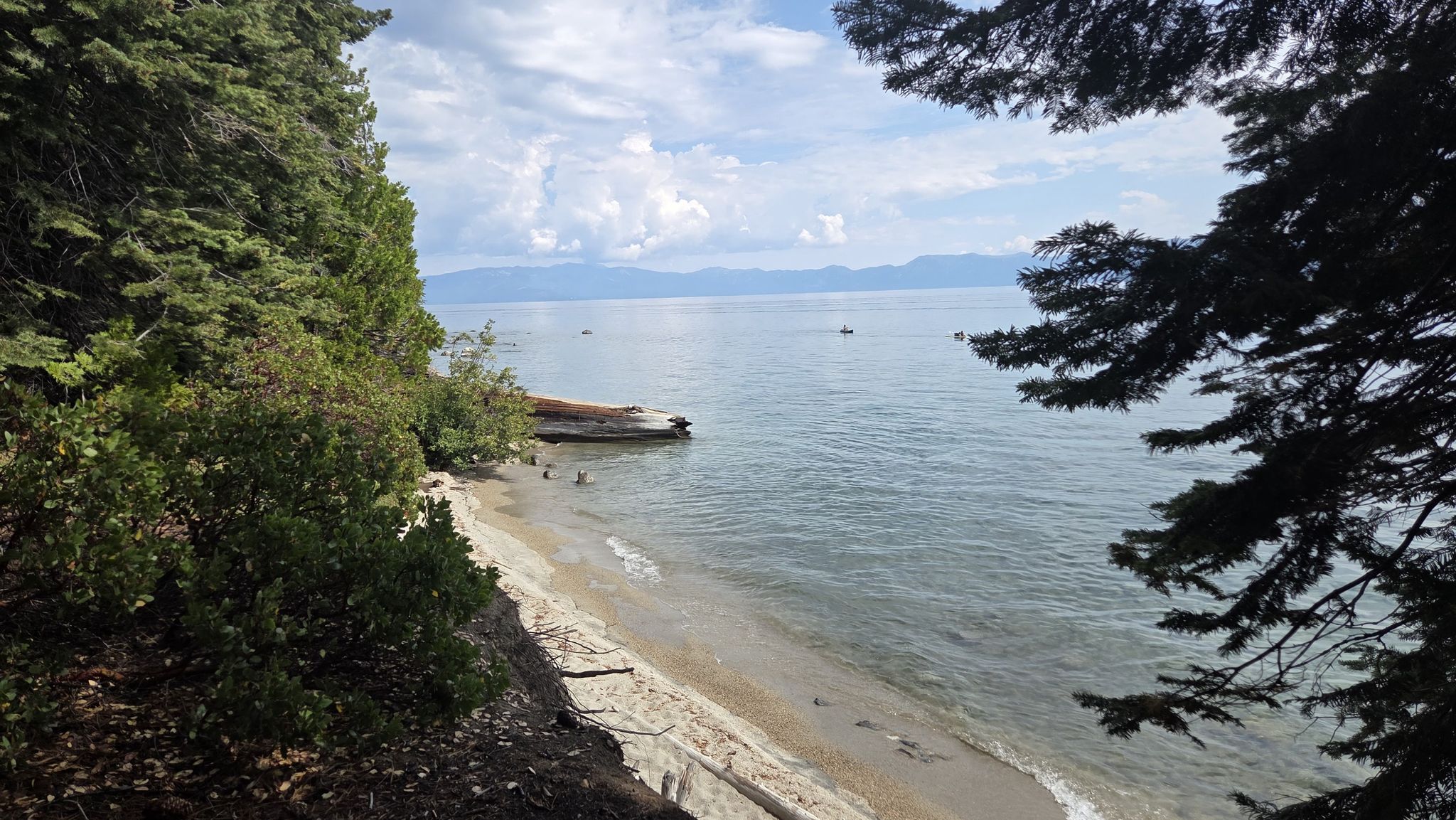 Lakeshore with sandy beach, dense trees, distant mountains, and boats under cloudy sky. - West Shore and Dolder Nature Trail Loop