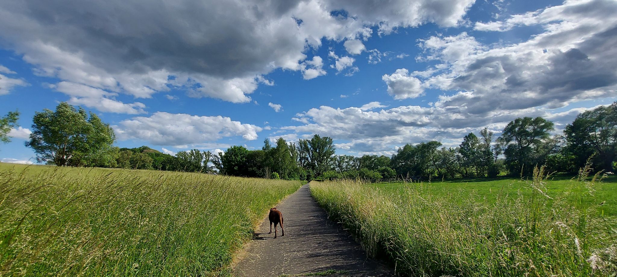 auf dem Weg nach Maden