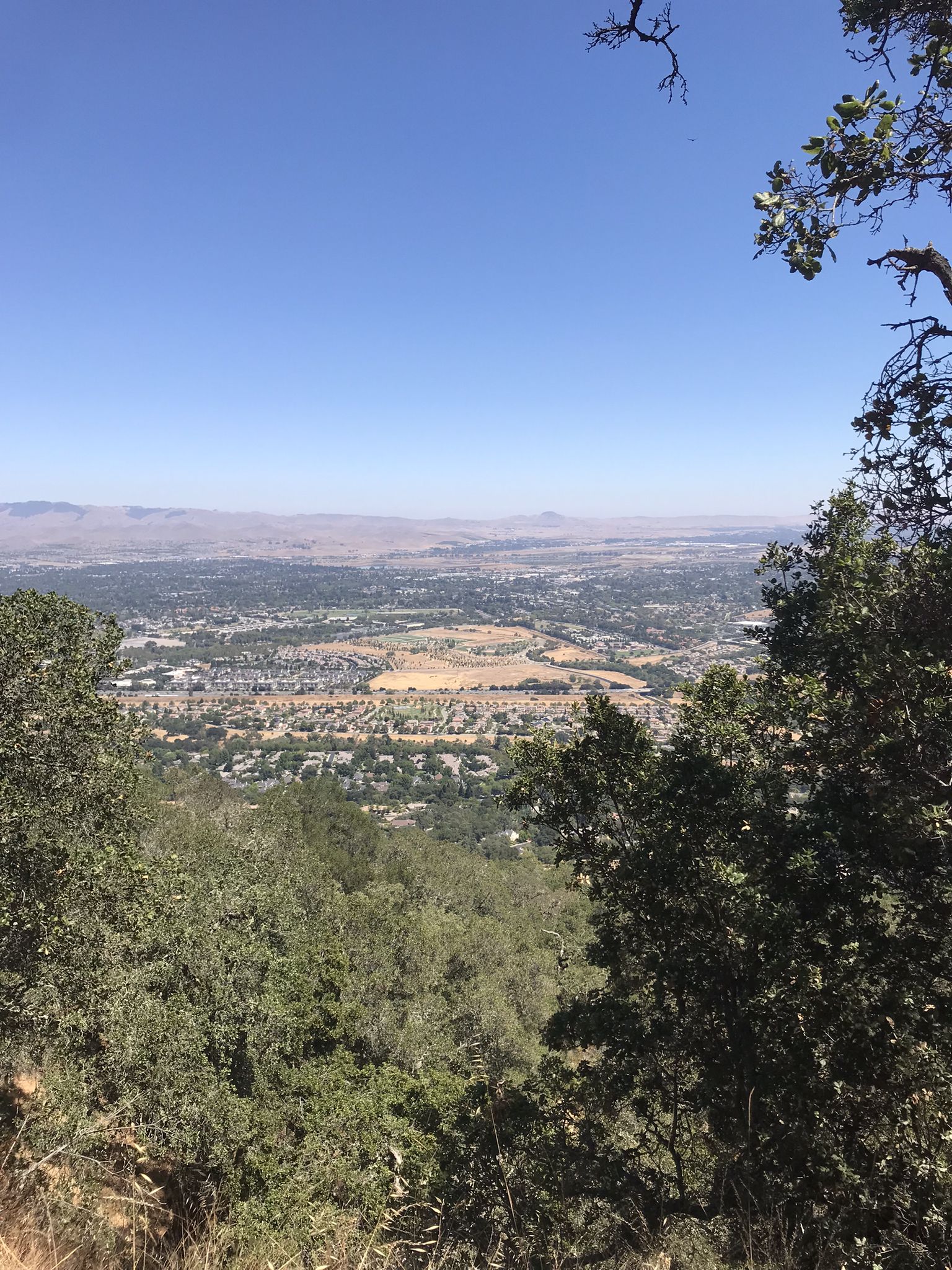 An elevated view of a city and distant mountains framed by green trees. - Augustin Bernal Park Entrance – Augustin Bernal Community Park loop from Pleasanton Ridge Regional Park
