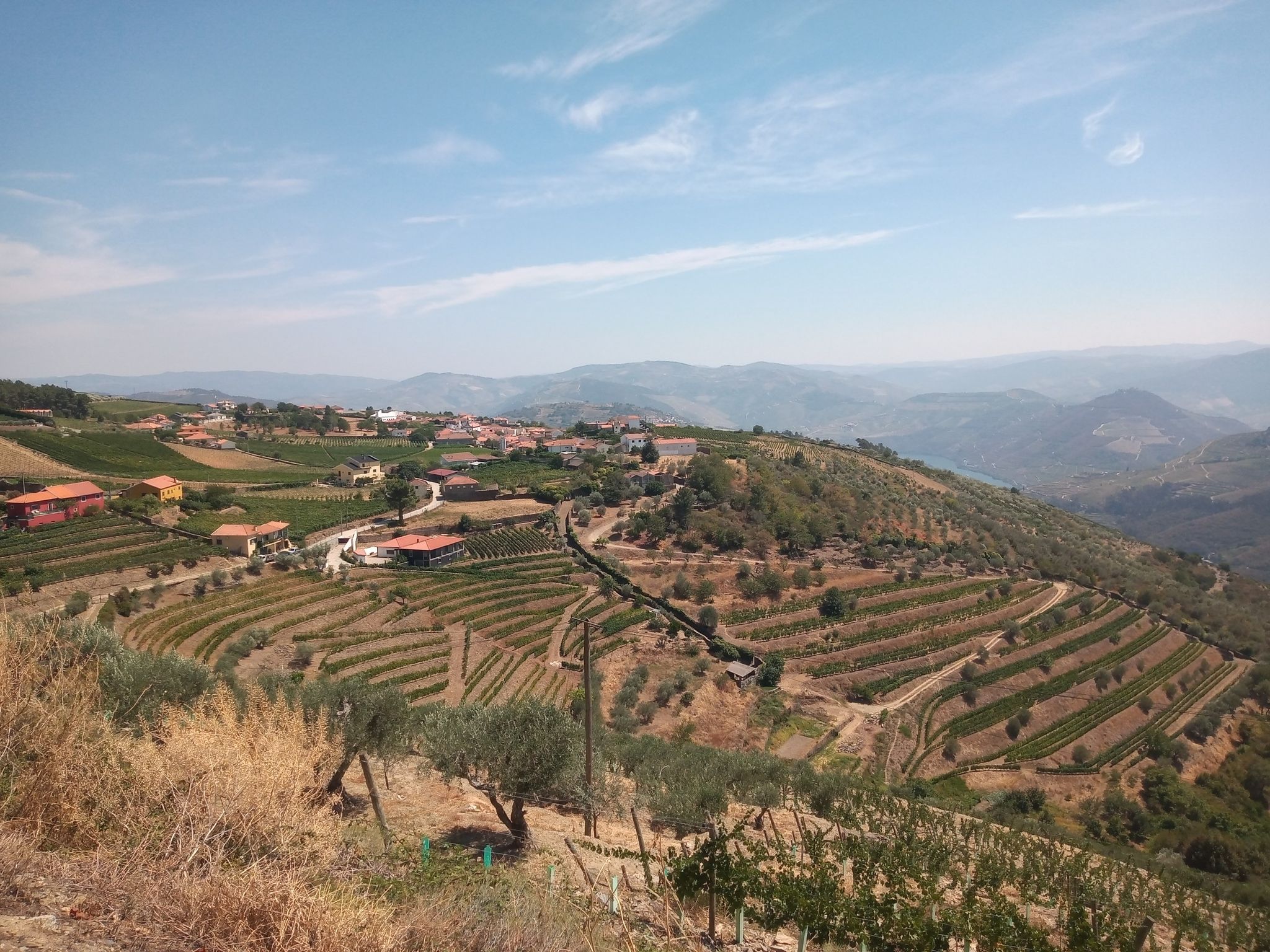 view on provesende