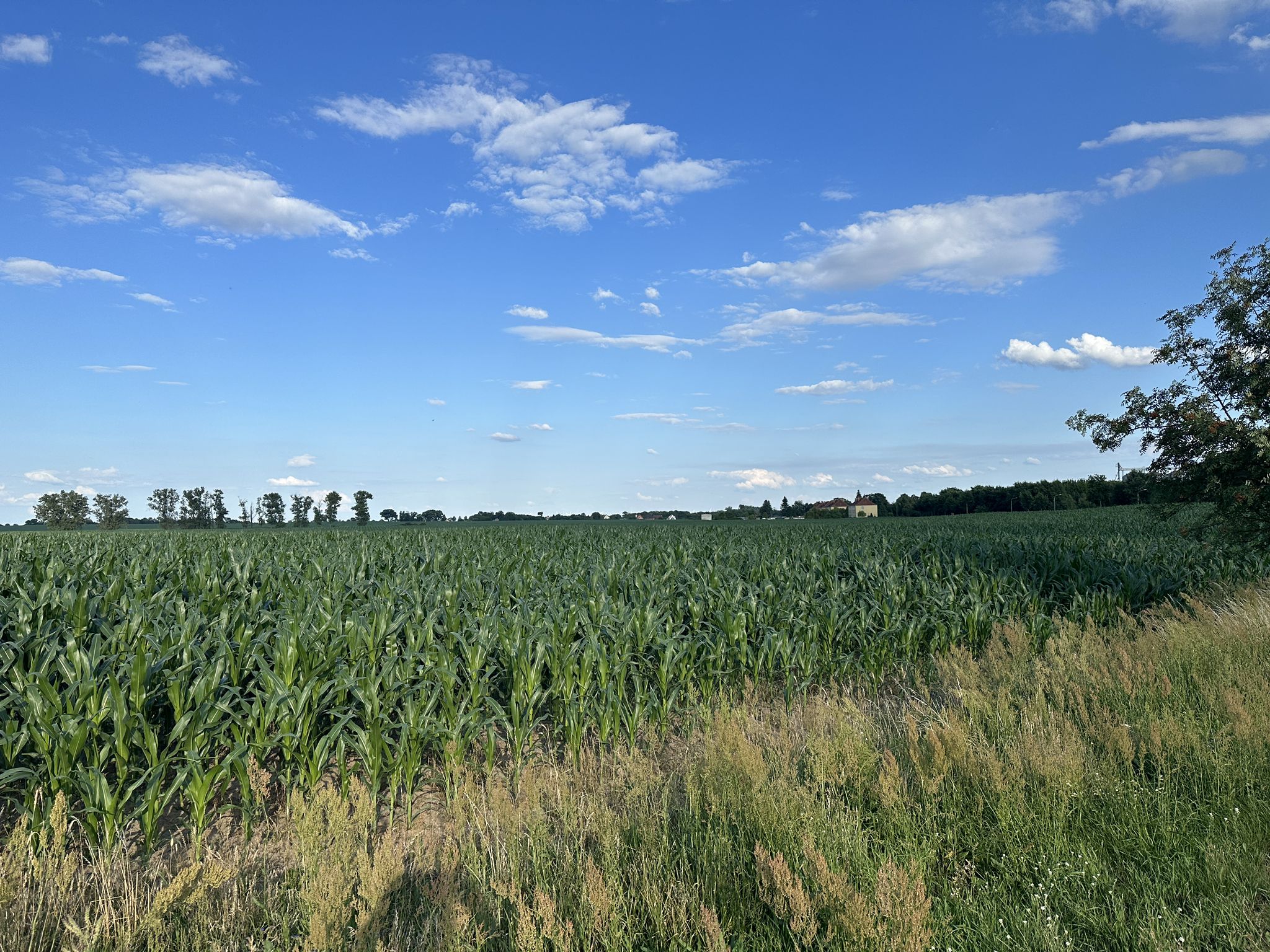 Blick auf Gut Klessin