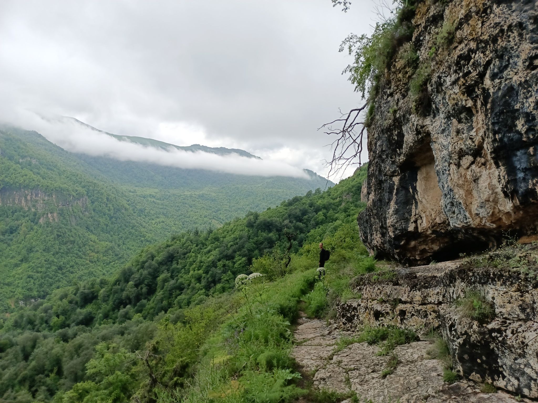 along small cliffs