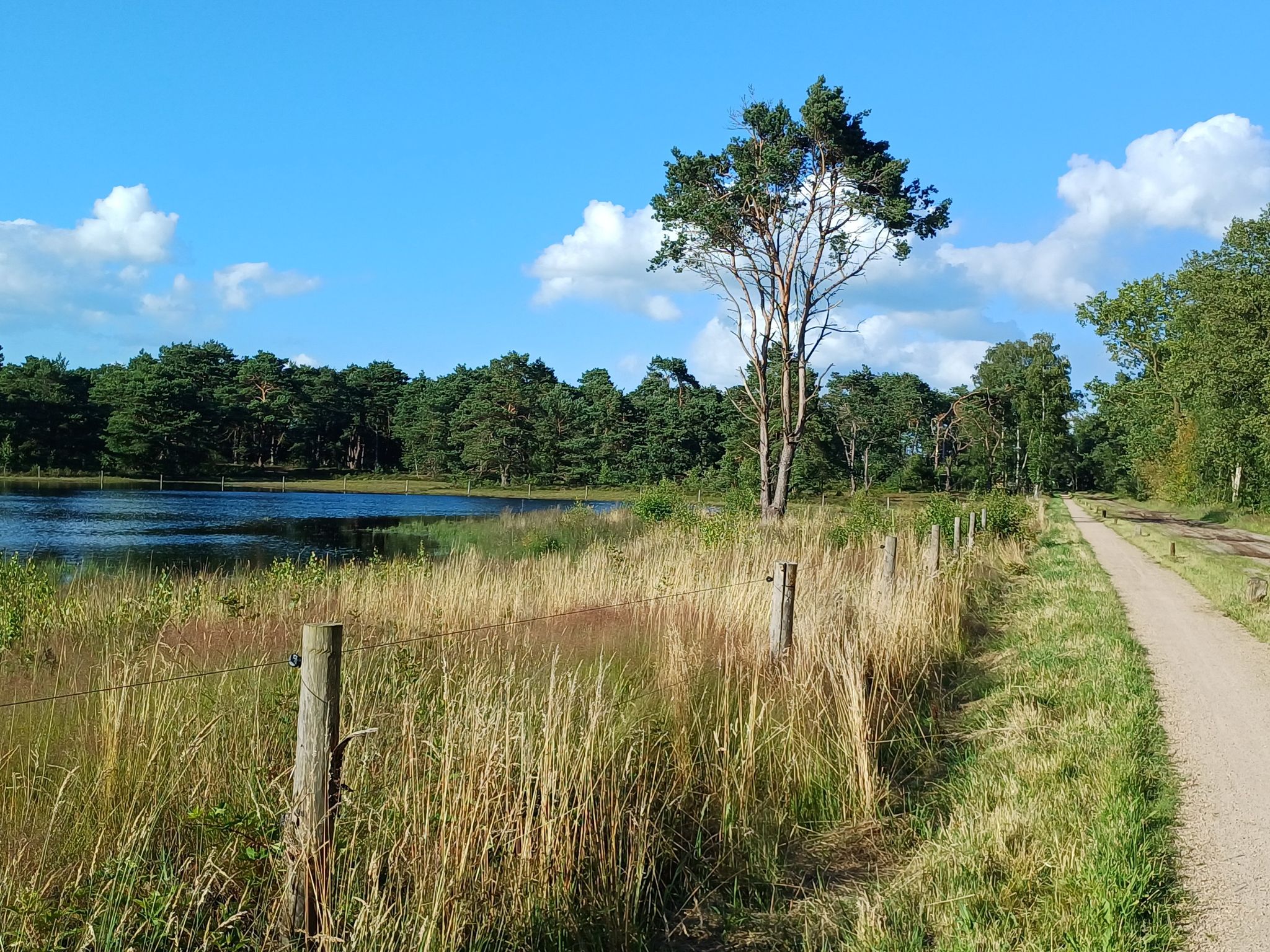 an das Naturschutzgebiet "Bergvennen & Brecklenkampse-Veld vorbei,