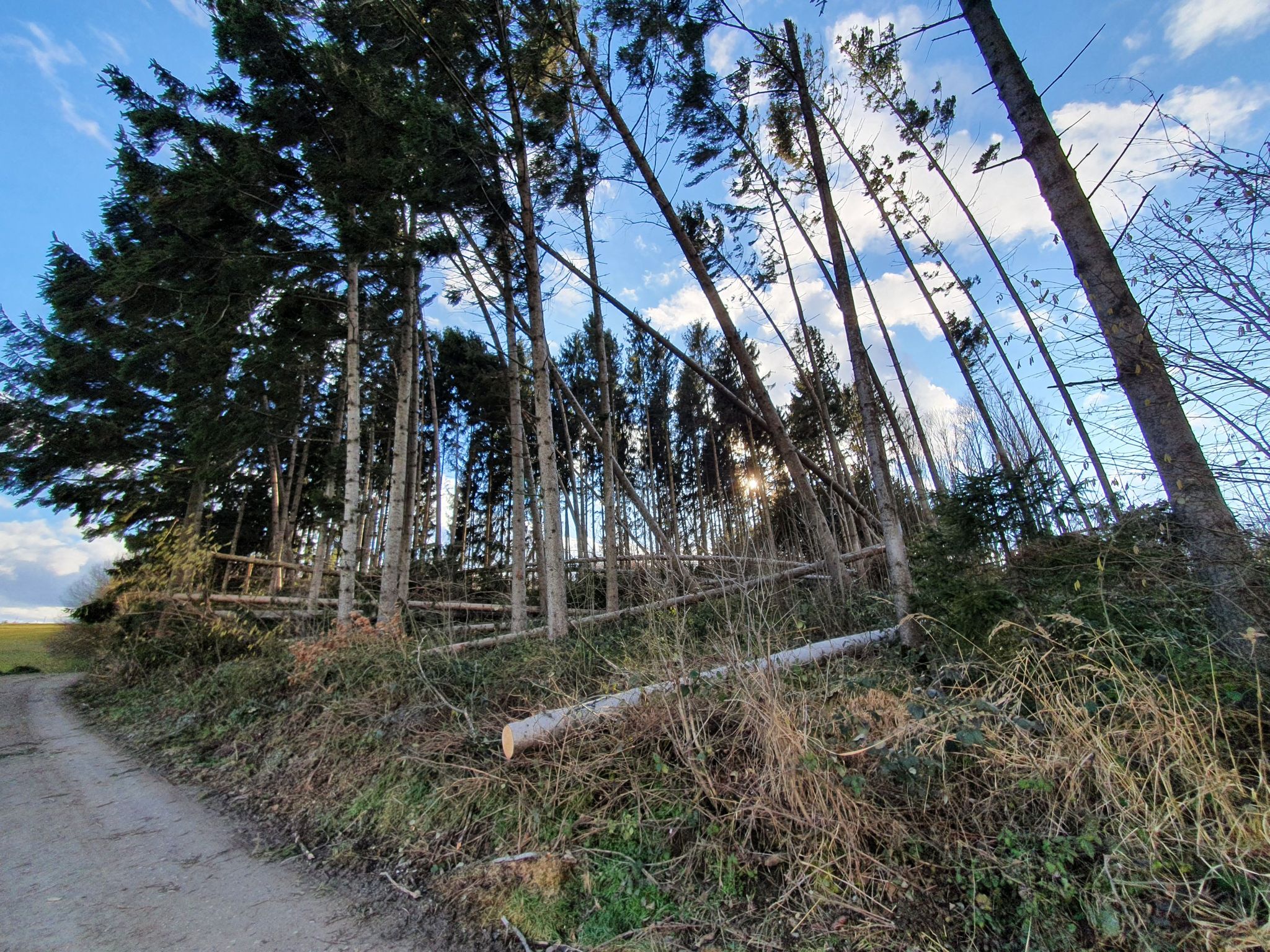 Sturmschäden