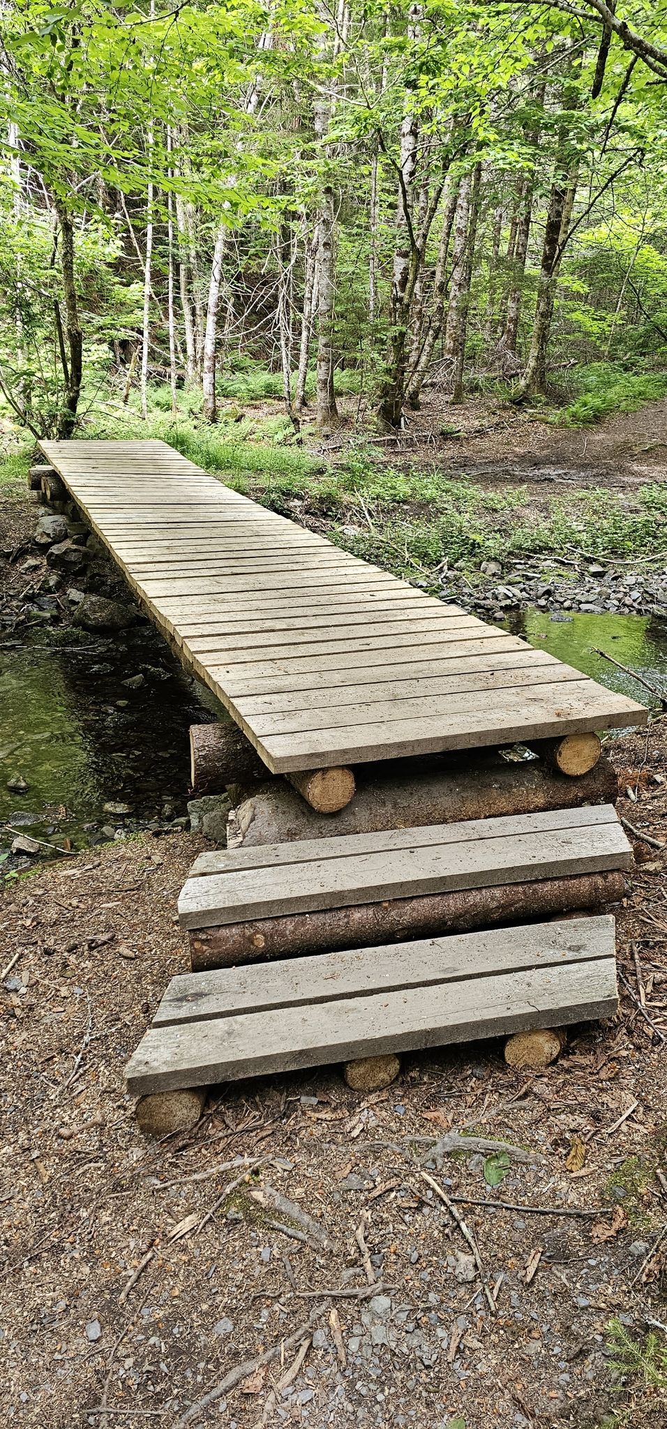 another Bridge